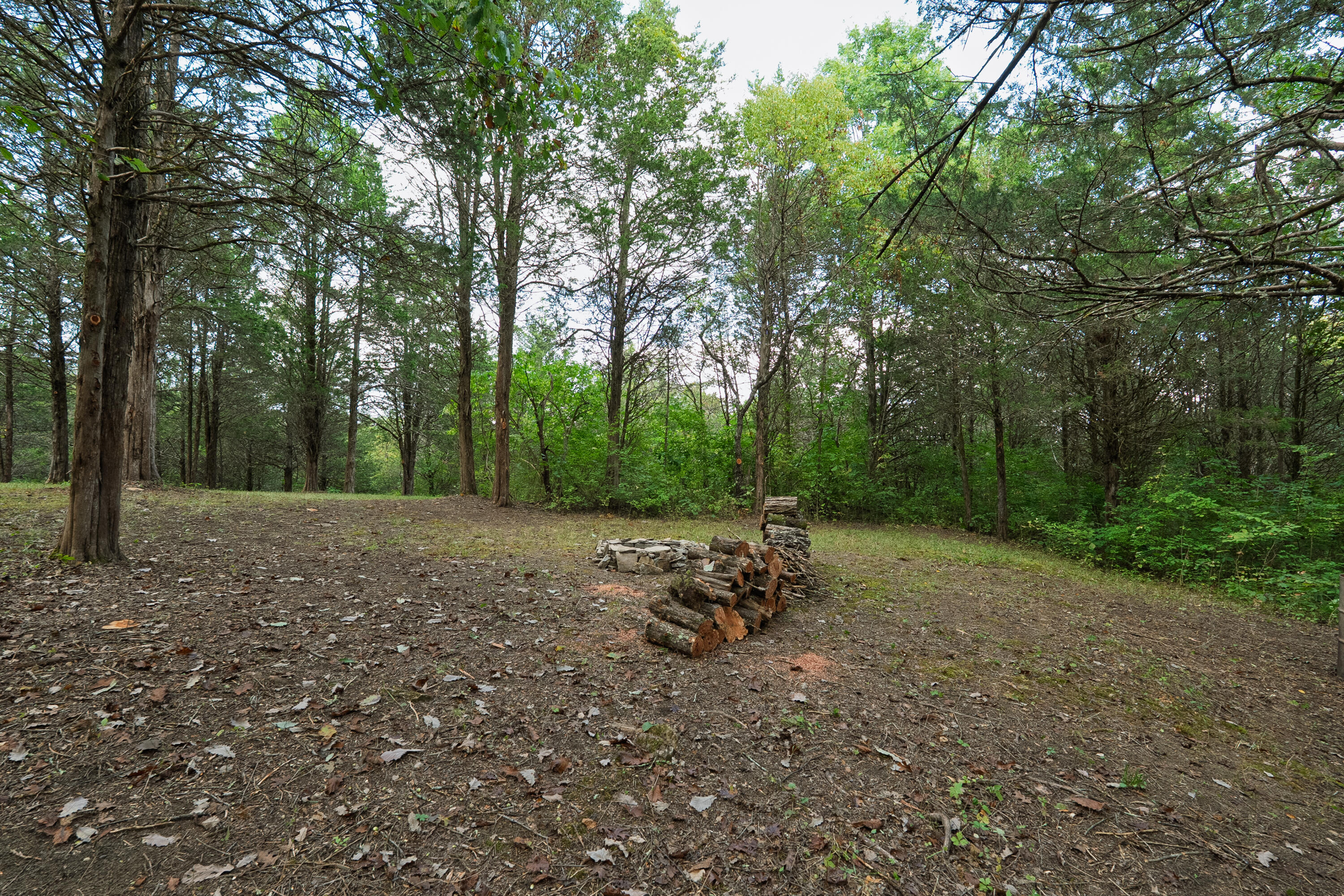 3926 Hogg Ridge Road Property Photo 62
