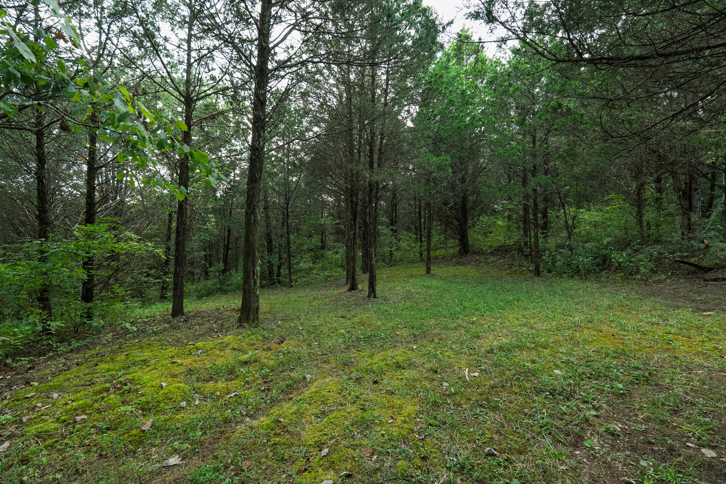 3926 Hogg Ridge Road Property Photo 63