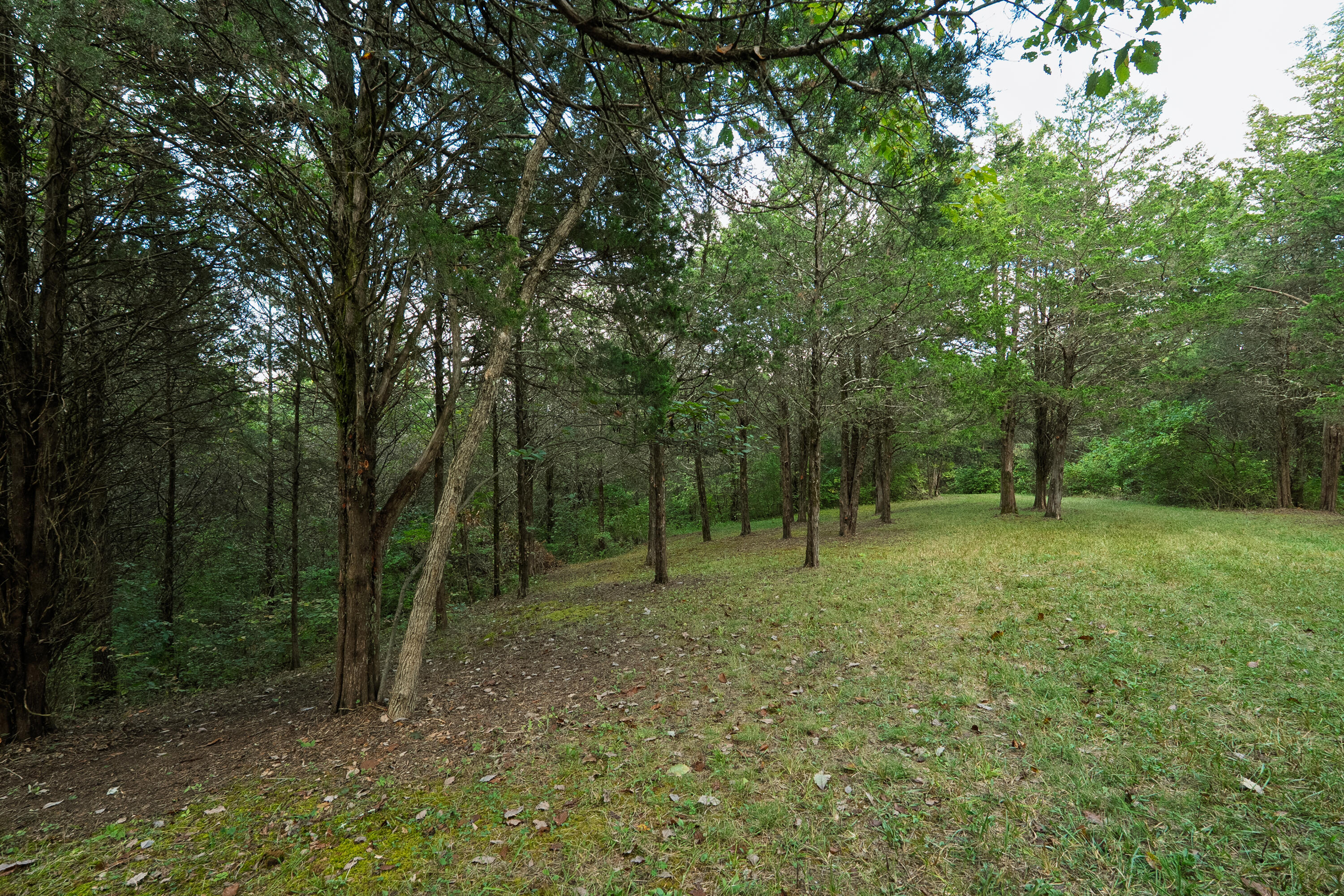3926 Hogg Ridge Road Property Photo 64