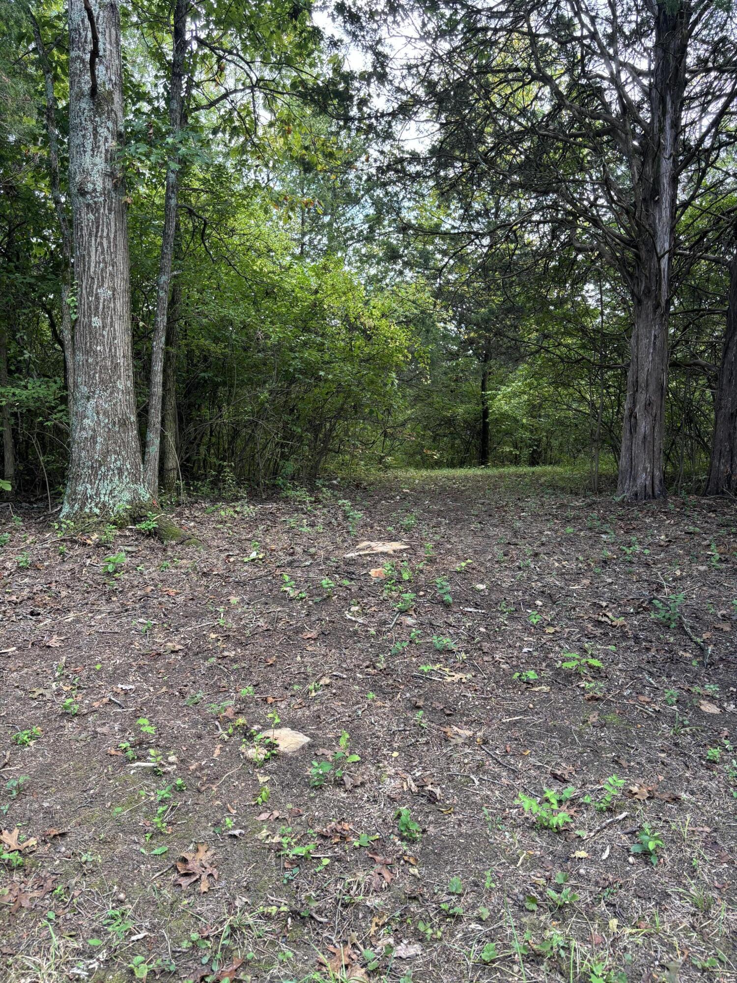 3926 Hogg Ridge Road Property Photo 65
