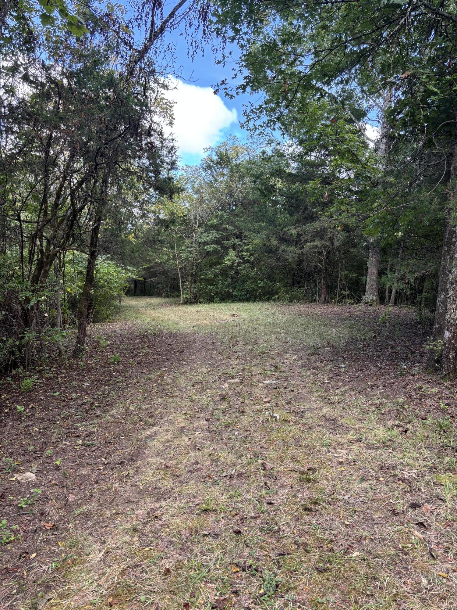 3926 Hogg Ridge Road Property Photo 66