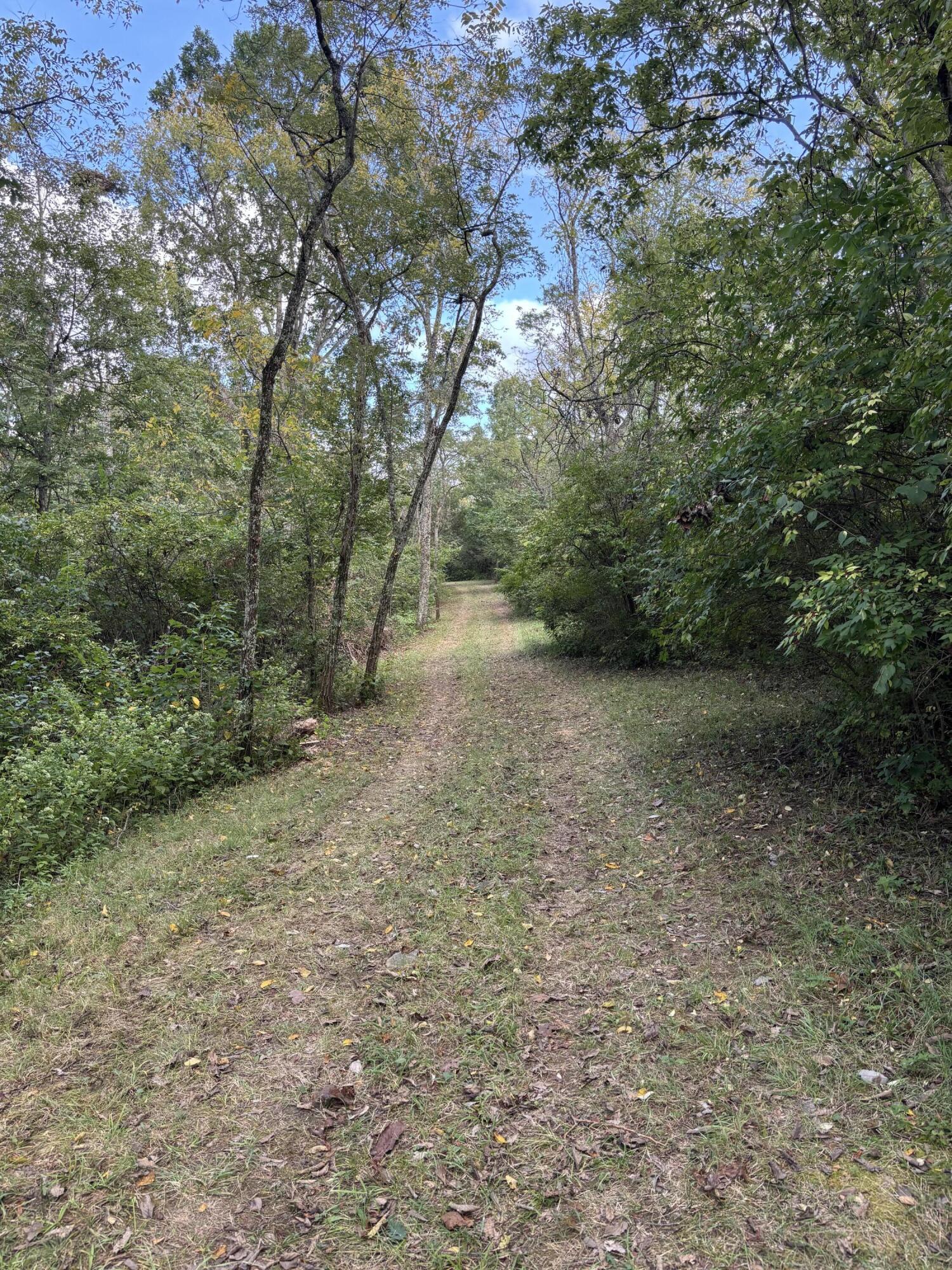 3926 Hogg Ridge Road Property Photo 67