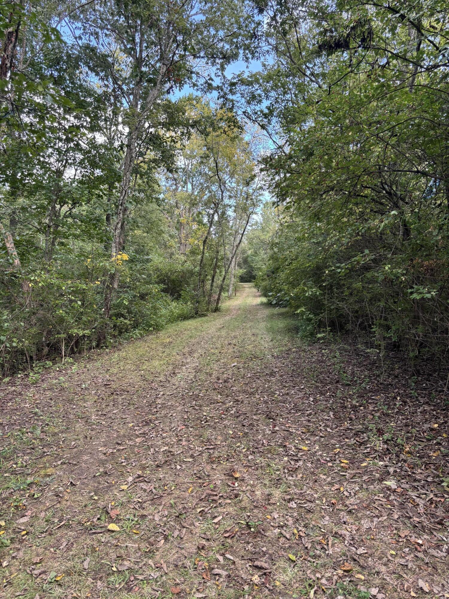 3926 Hogg Ridge Road Property Photo 68