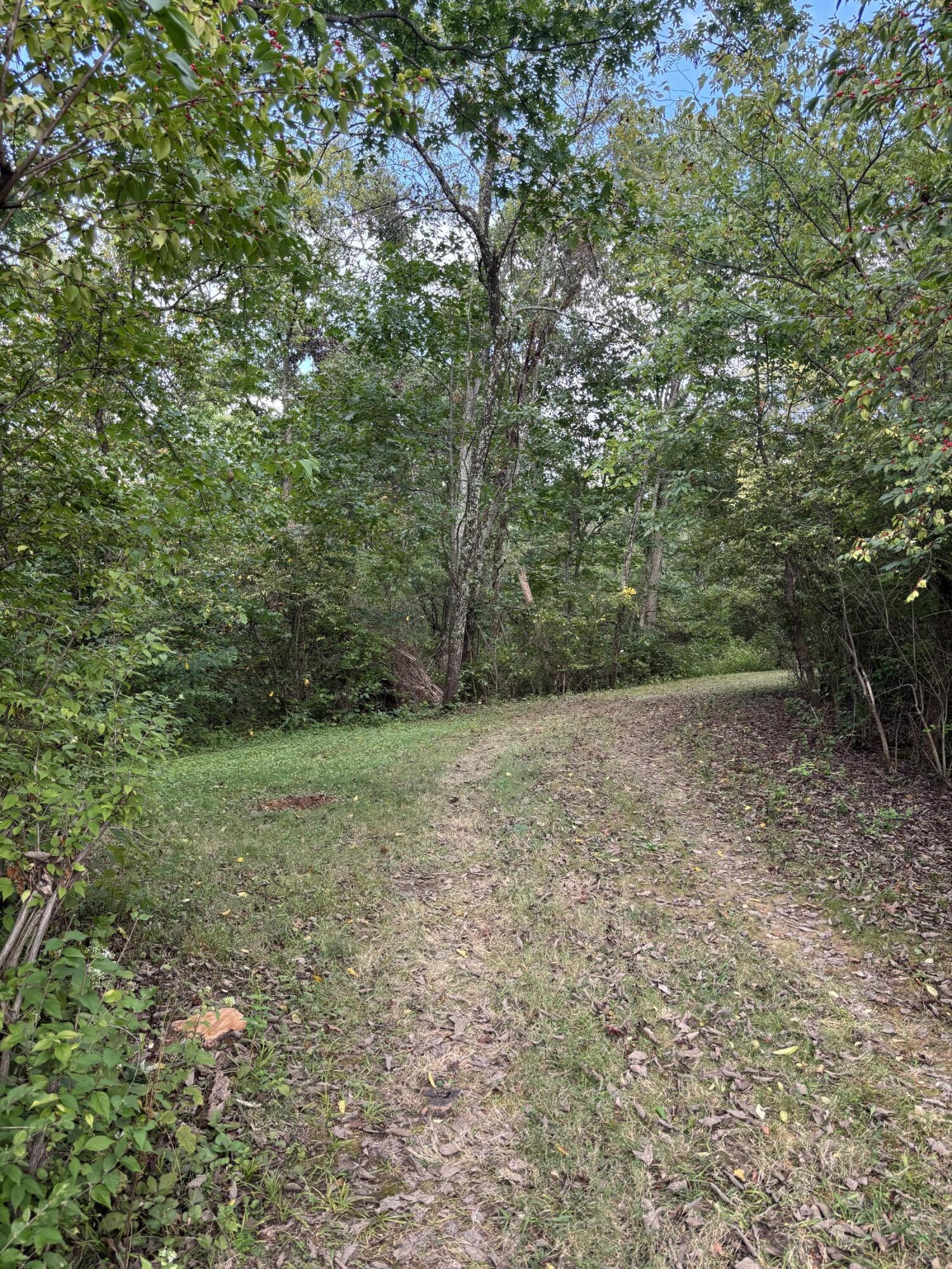 3926 Hogg Ridge Road Property Photo 69