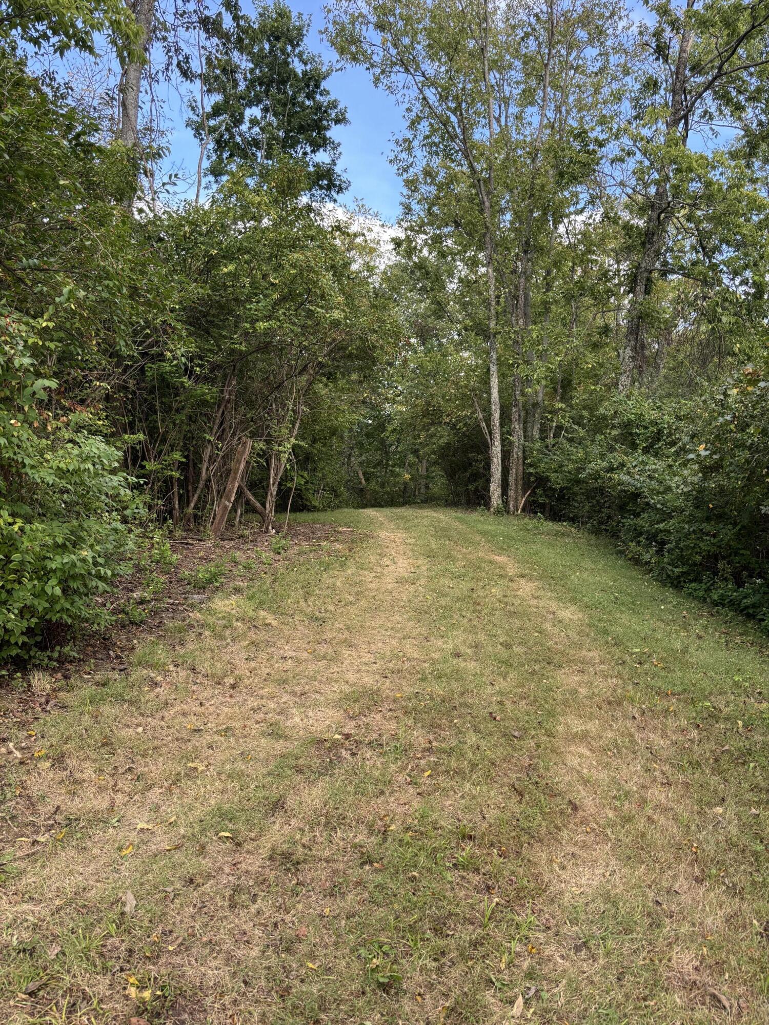 3926 Hogg Ridge Road Property Photo 70