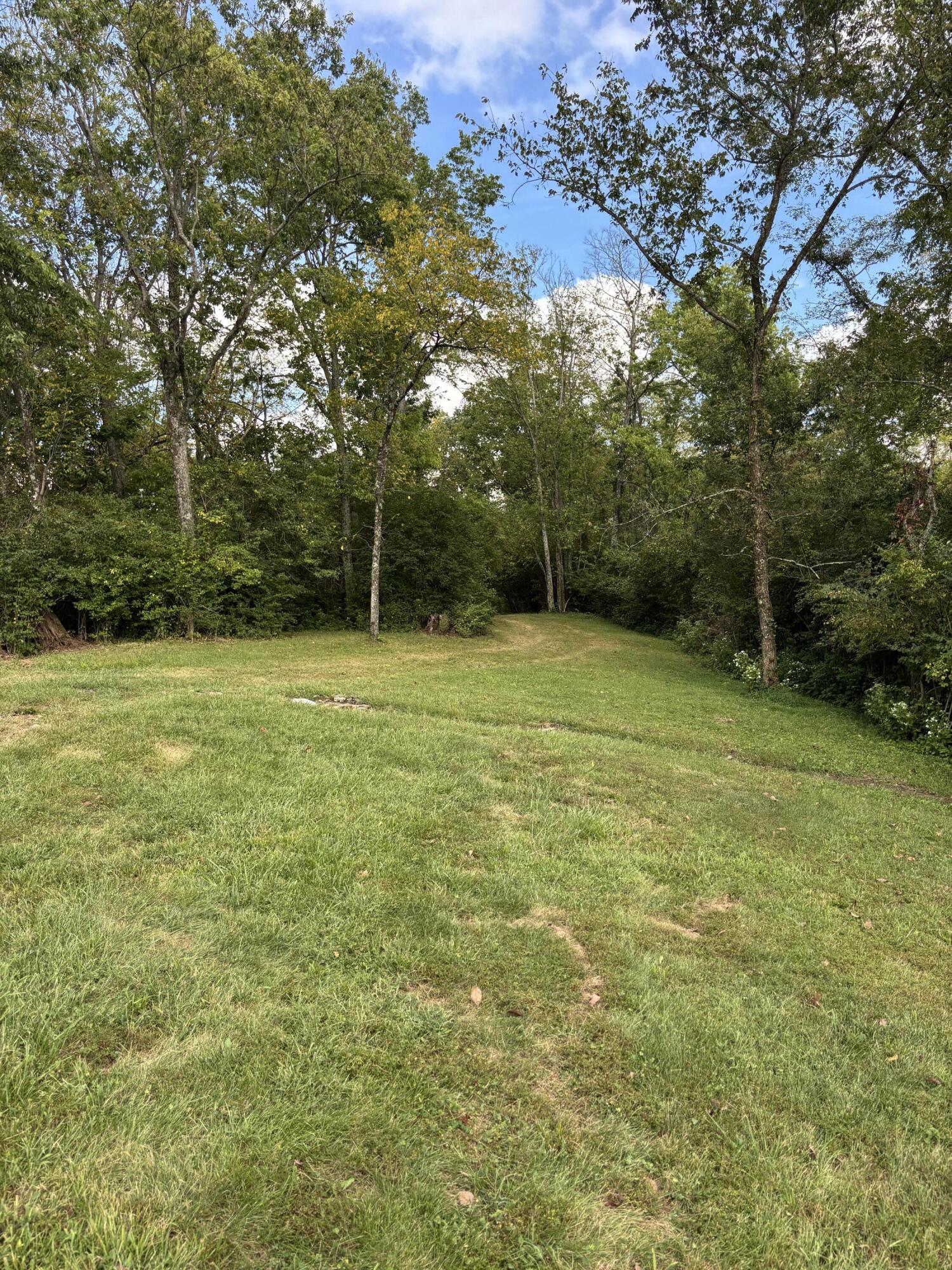 3926 Hogg Ridge Road Property Photo 71