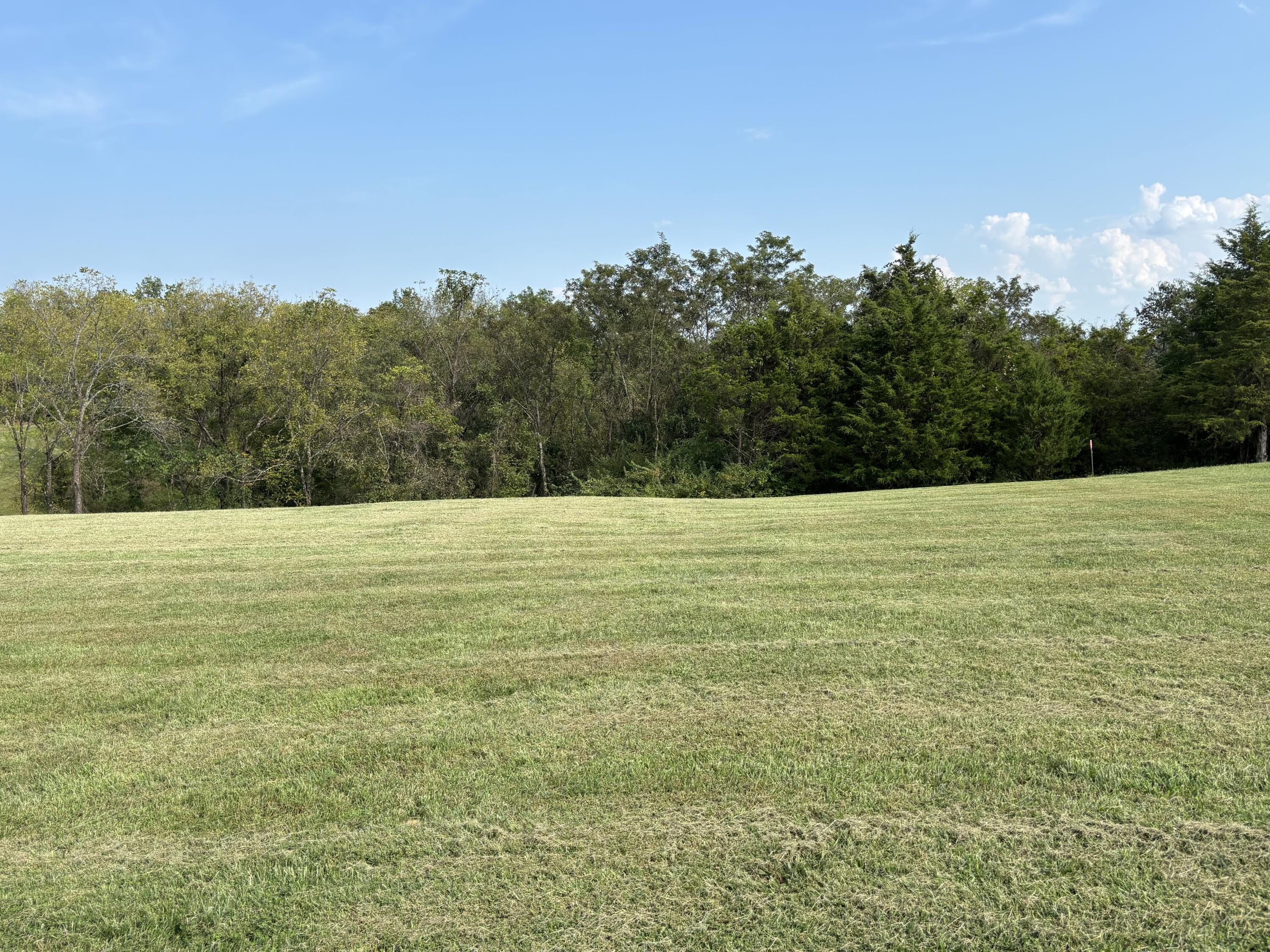 3926 Hogg Ridge Road Property Photo 73