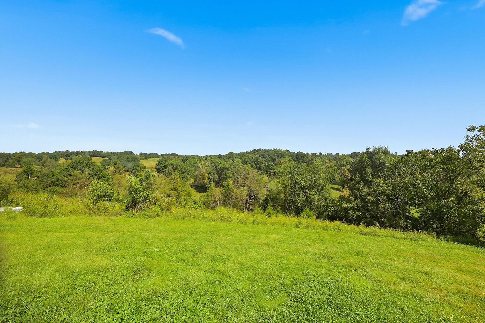 1250 Goshen Road Property Photo 46