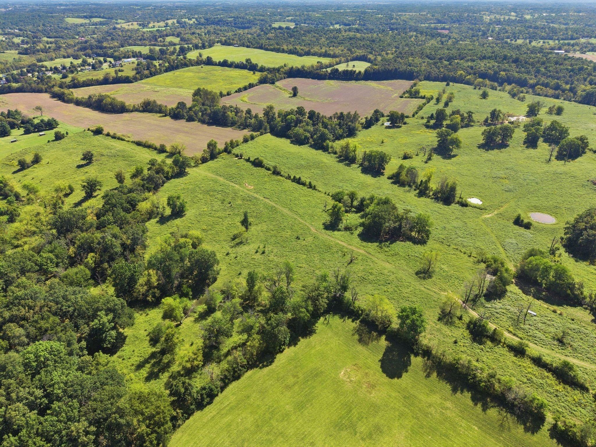 1315 Fox Creek Rd Road Property Photo 8