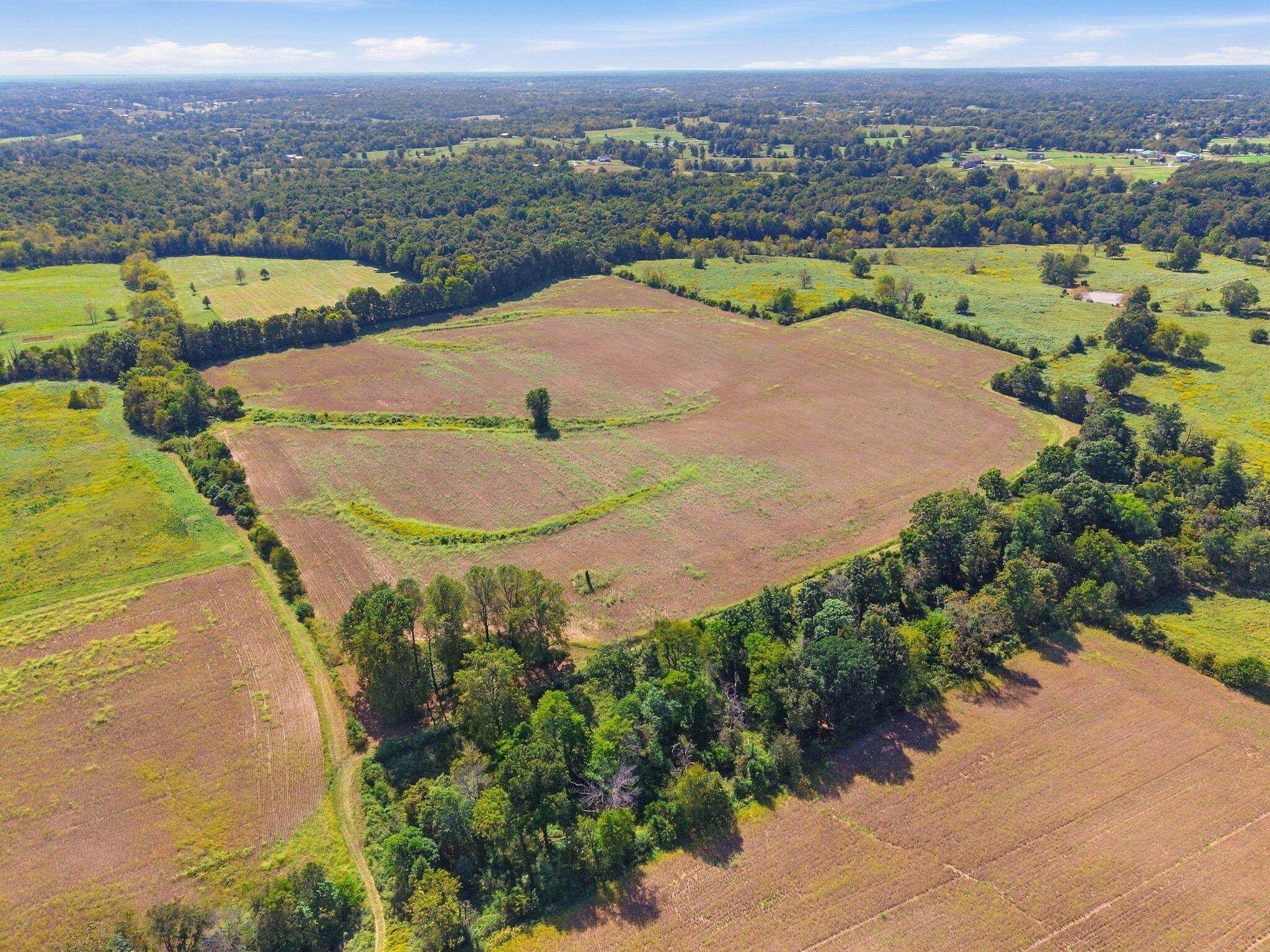 1315 Fox Creek Rd Road Property Photo 10