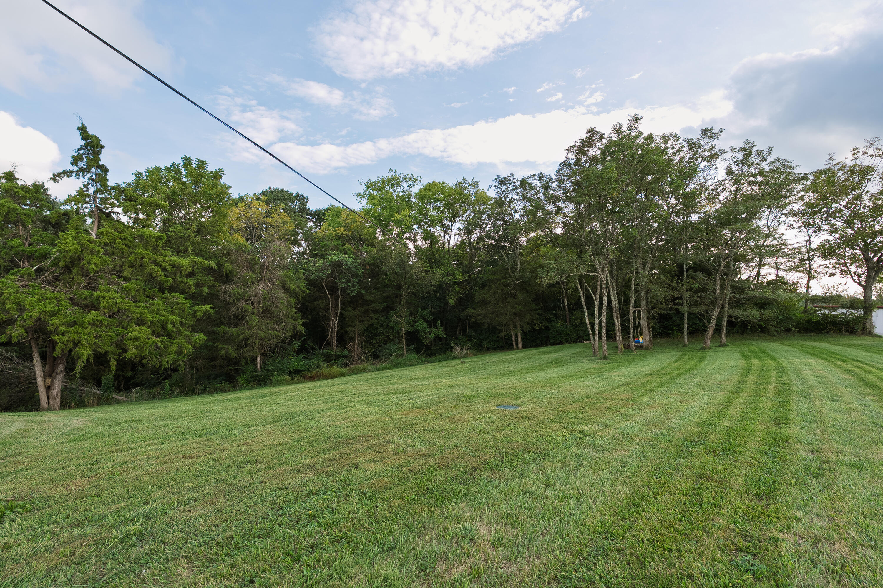 3838 Hogg Ridge Road Property Photo 4