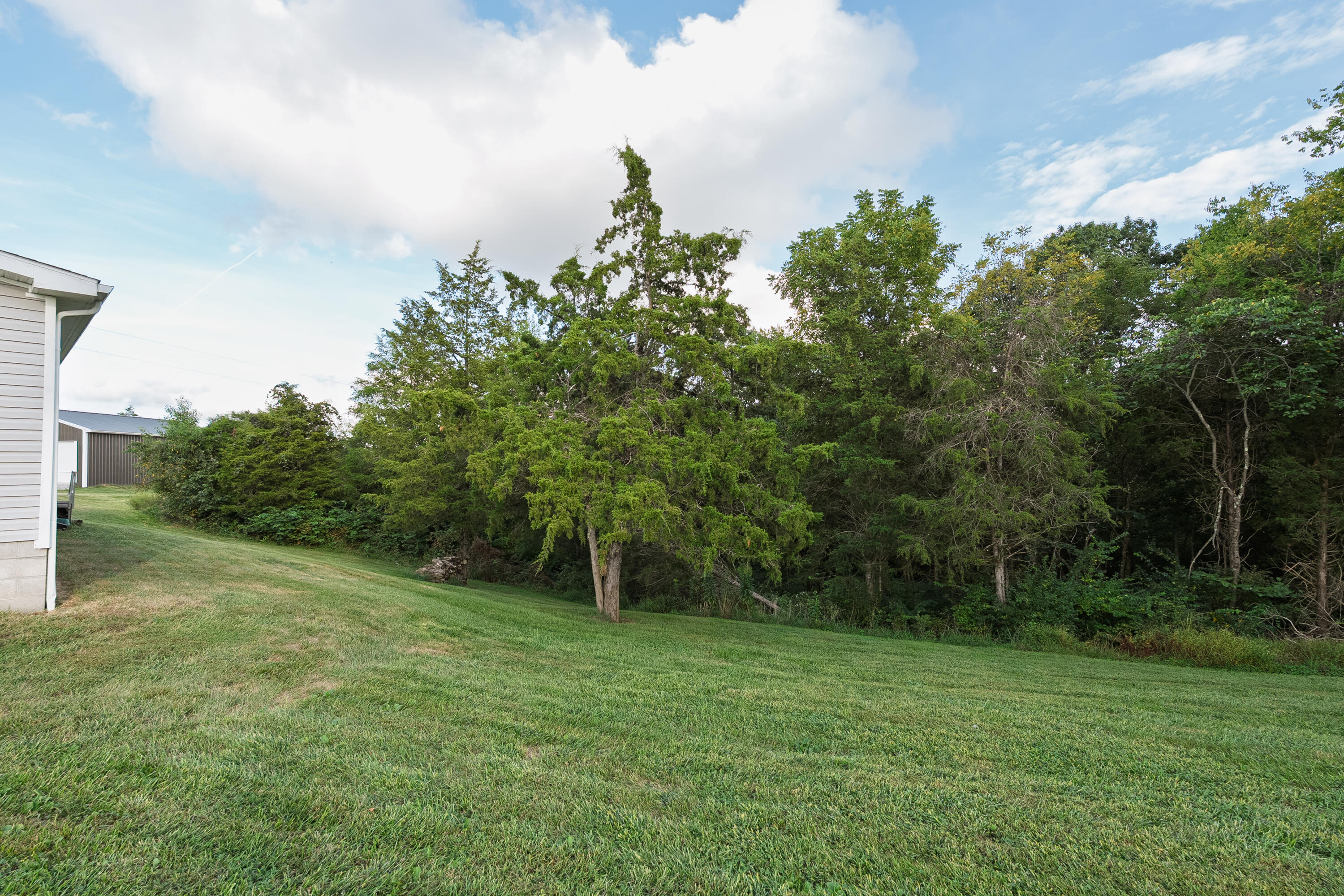 3838 Hogg Ridge Road Property Photo 5