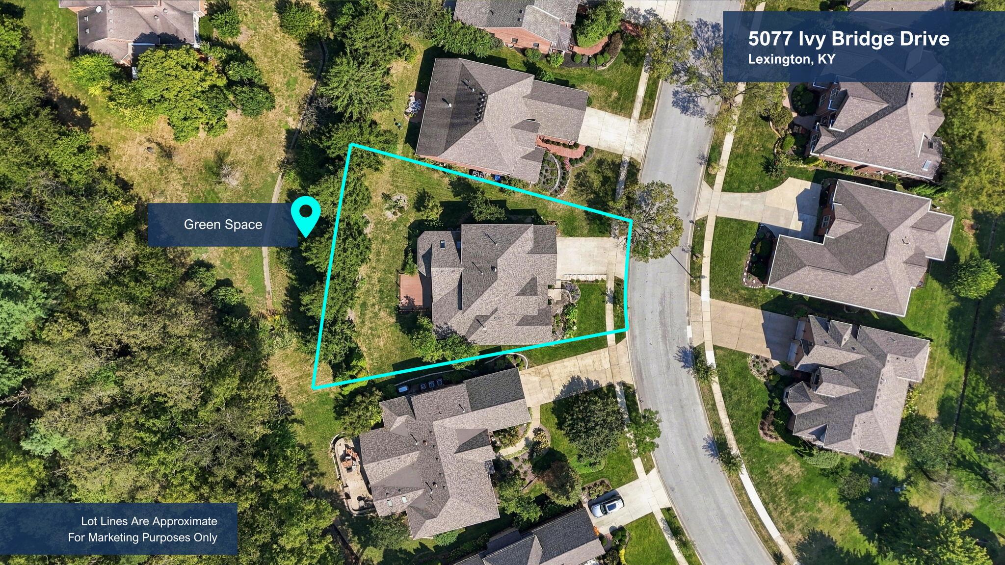 5077 Ivy Bridge Drive Property Photo 3