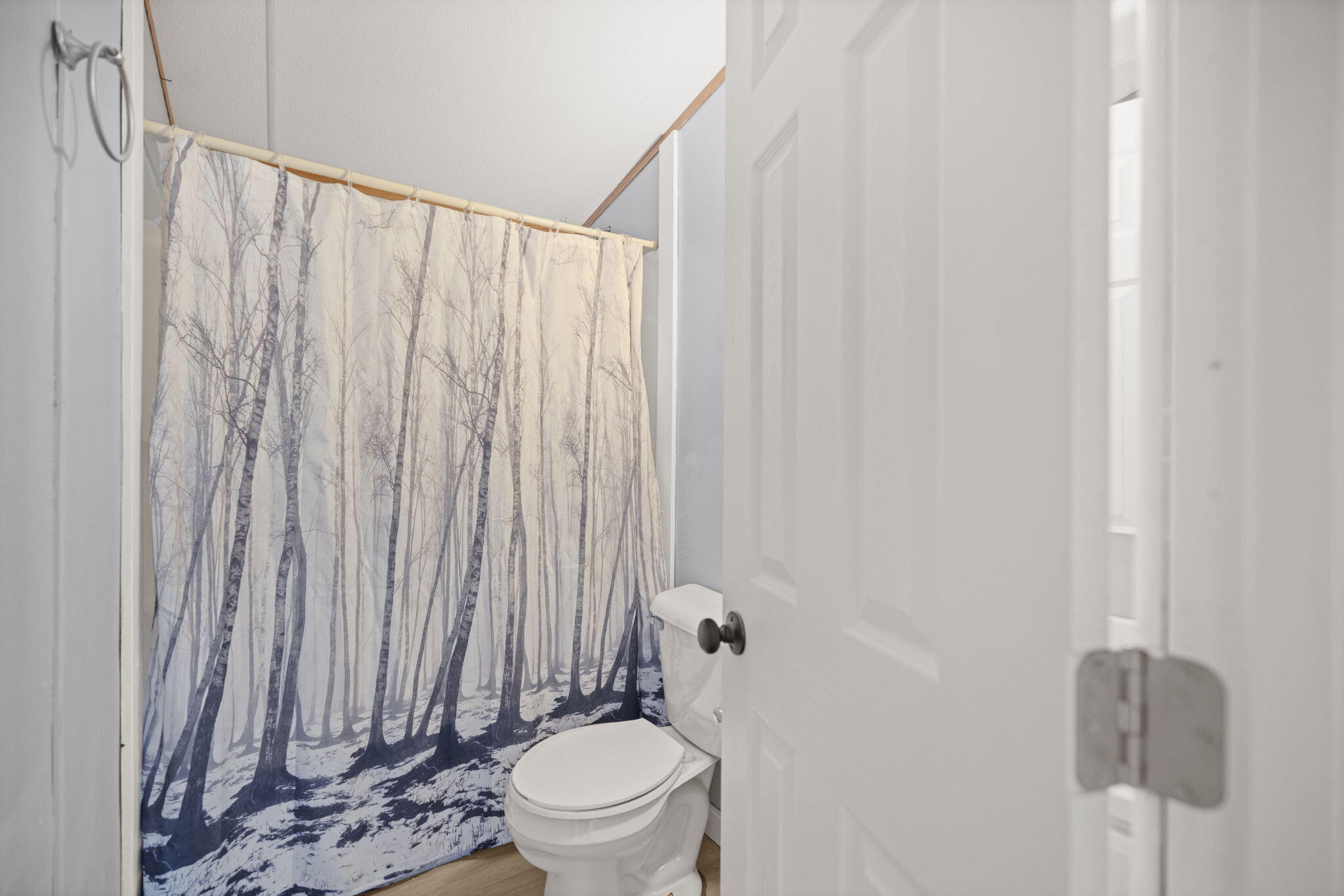 300 Old Hopewell Road Property Photo 21