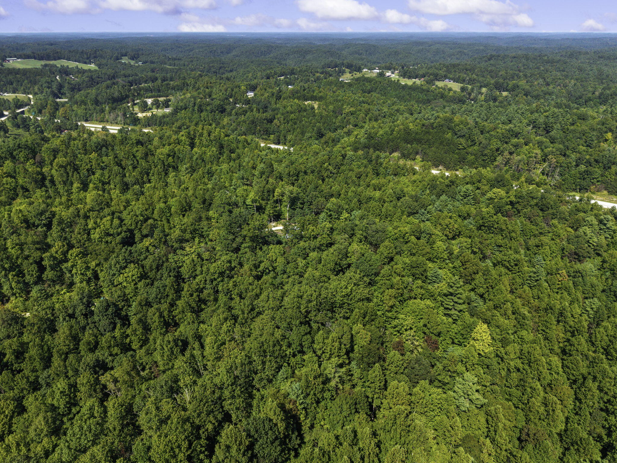 258 Black Bear Ridge Road Property Photo 20