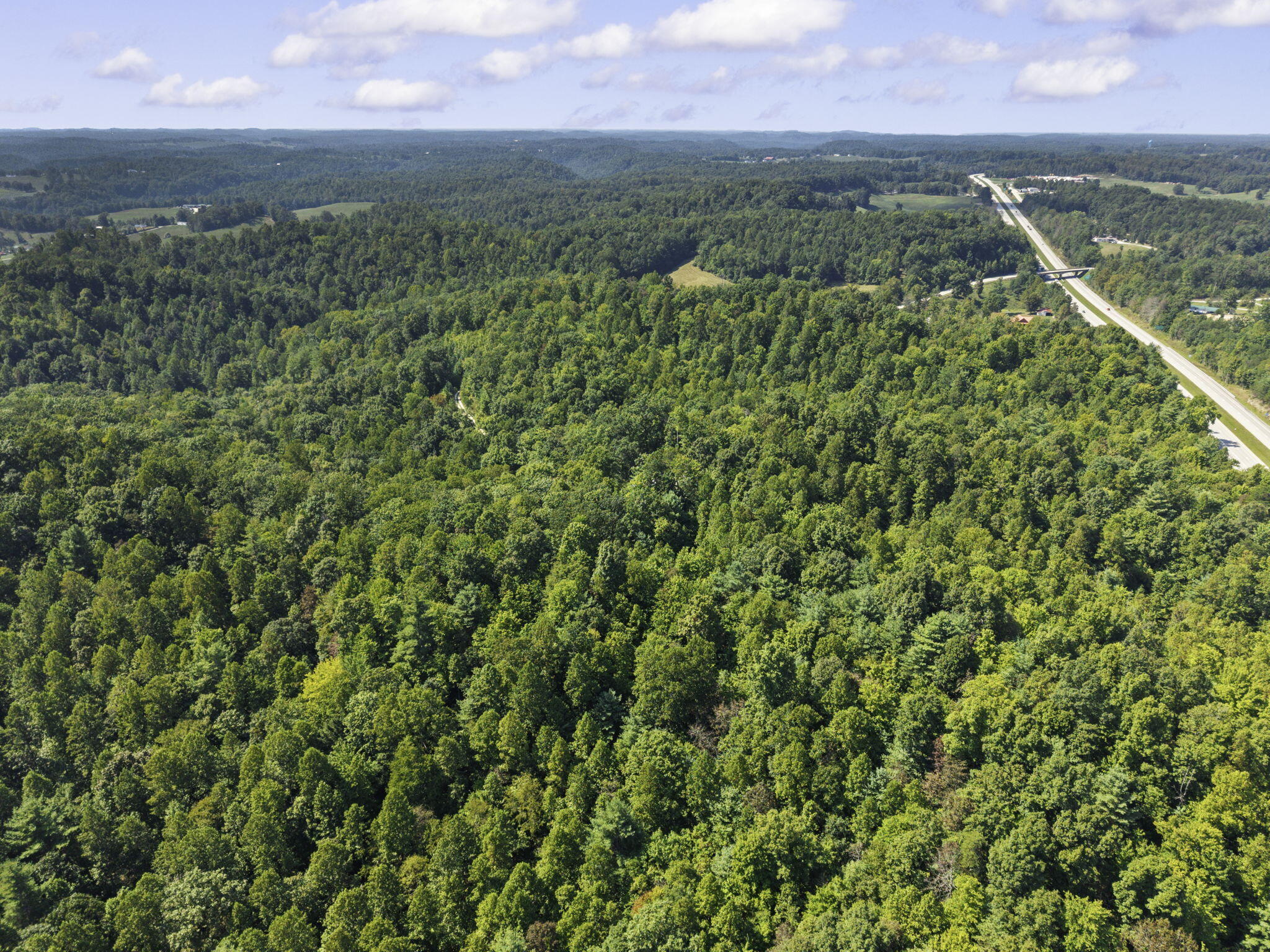 258 Black Bear Ridge Road Property Photo 21