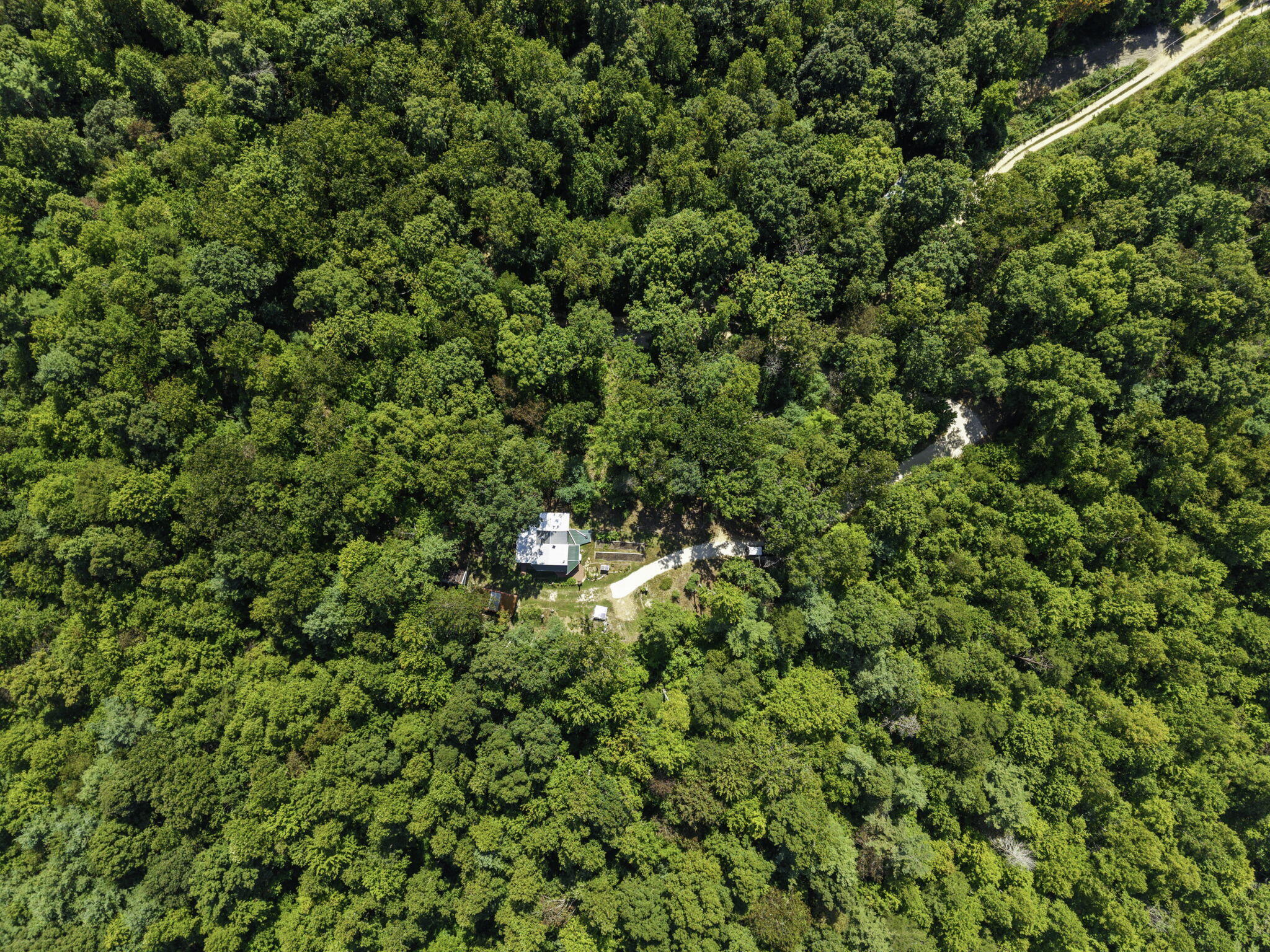 258 Black Bear Ridge Road Property Photo 22