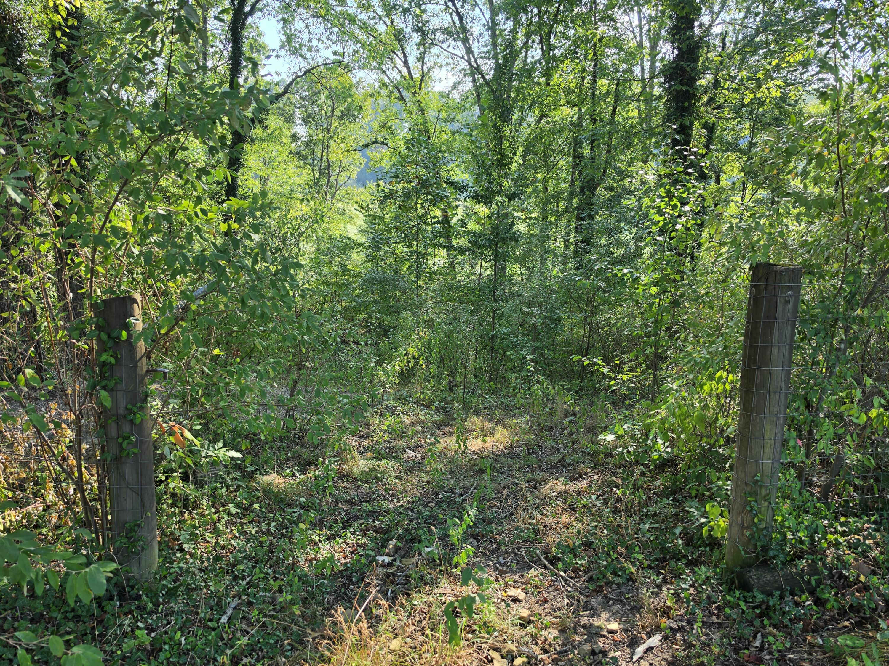 5361 Flemingsburg Road Property Photo 29