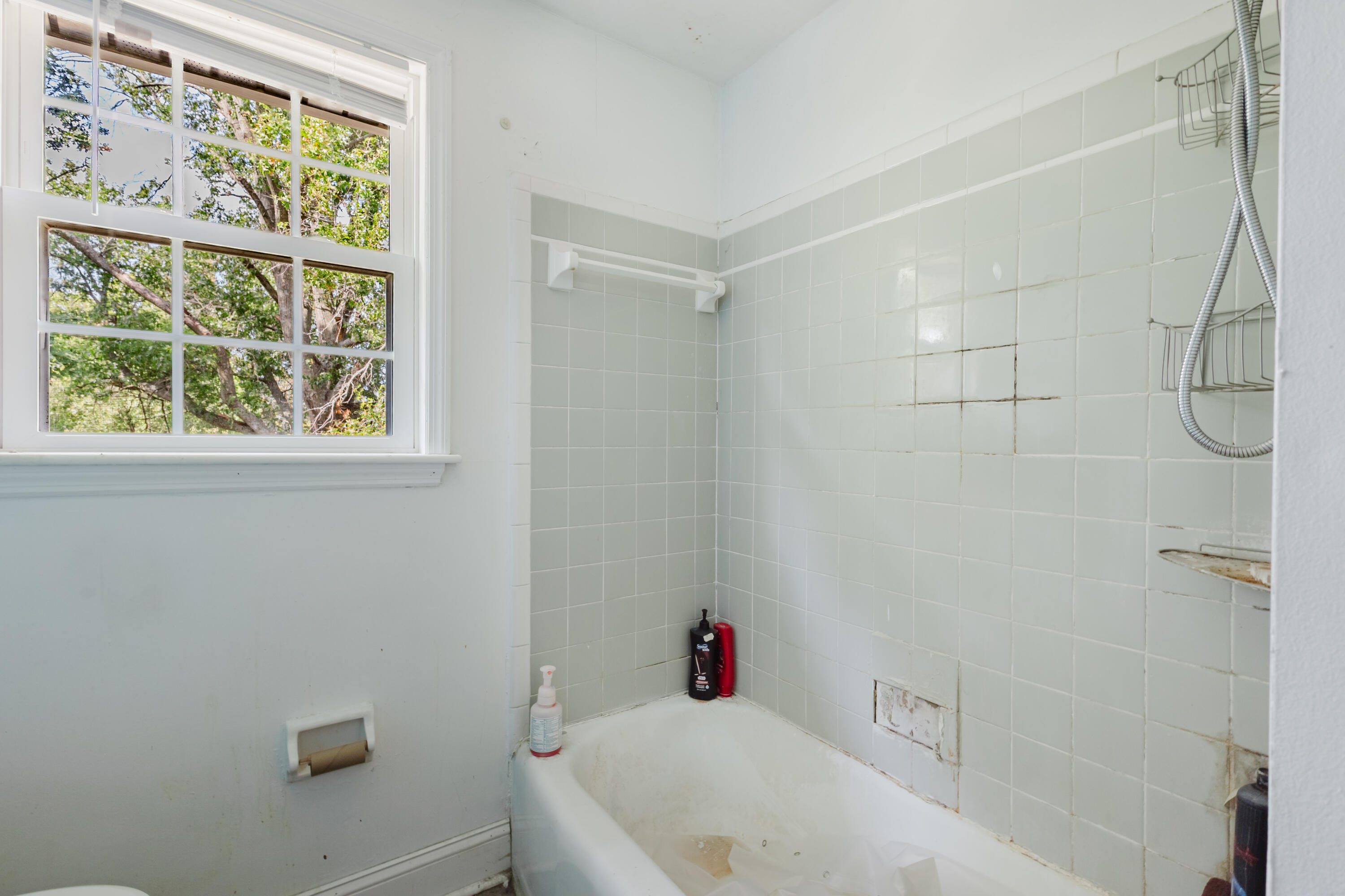 4203 Winchester Road Property Photo 42