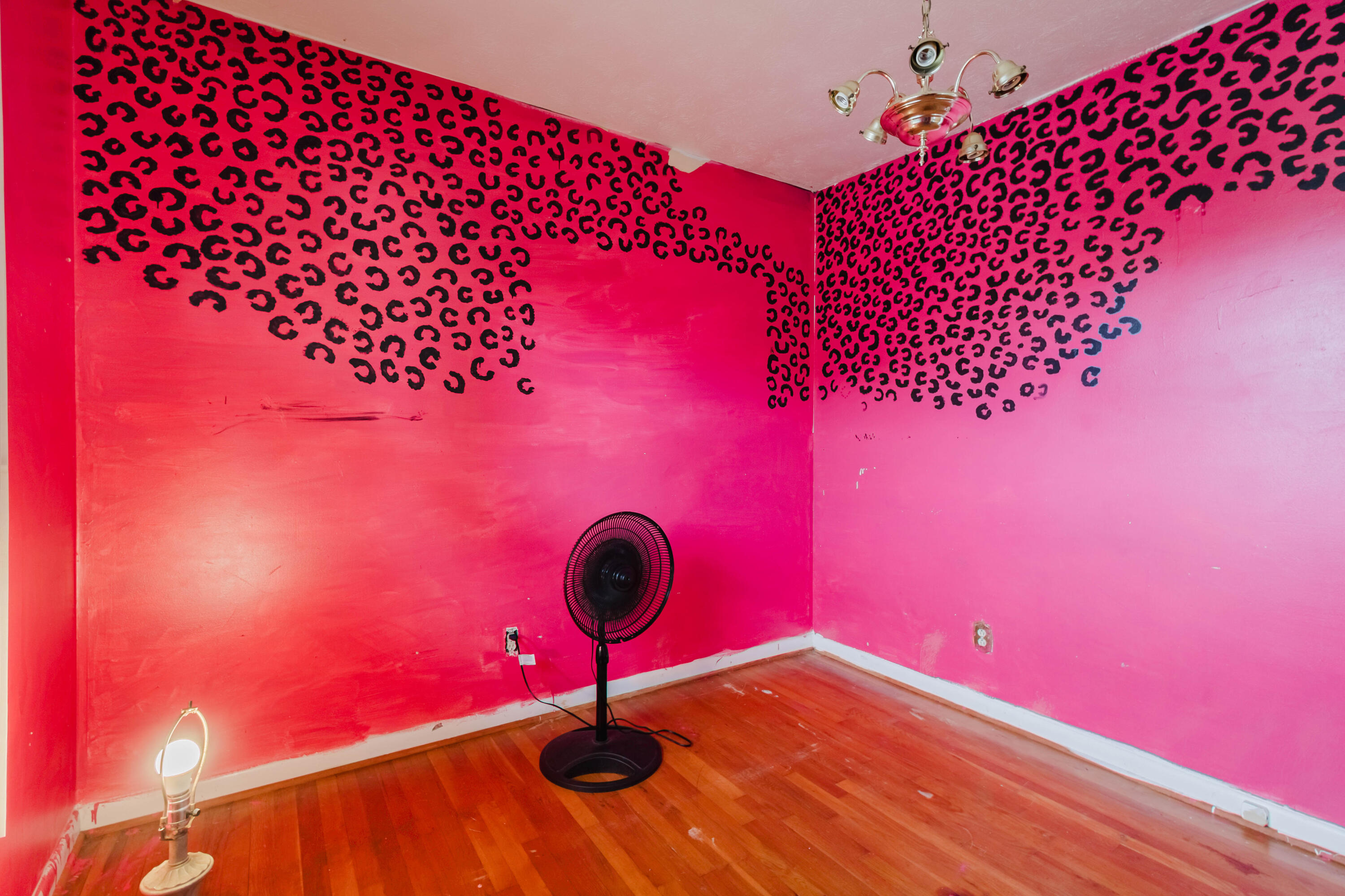 501 Kildare Court Property Photo 6