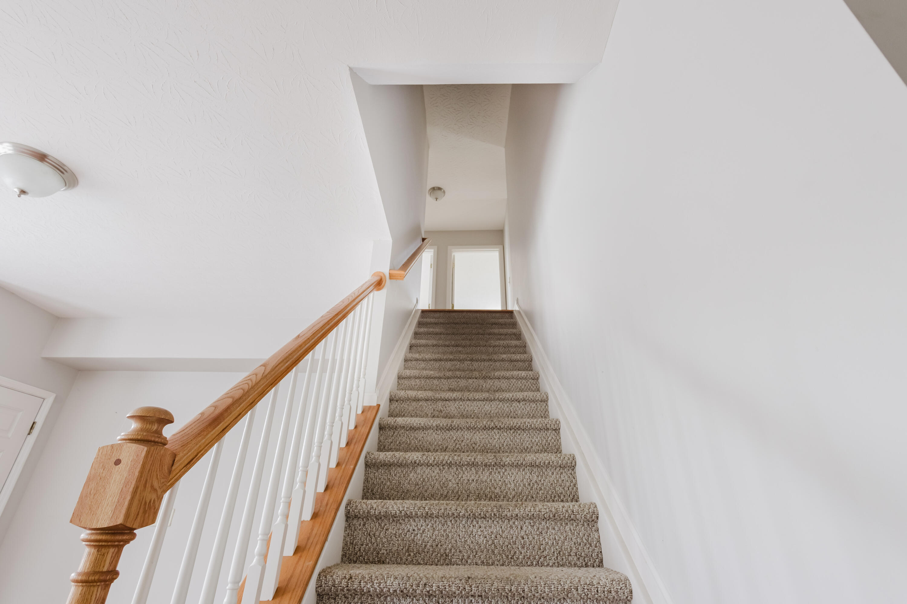 2312 Lilac Park Property Photo 17