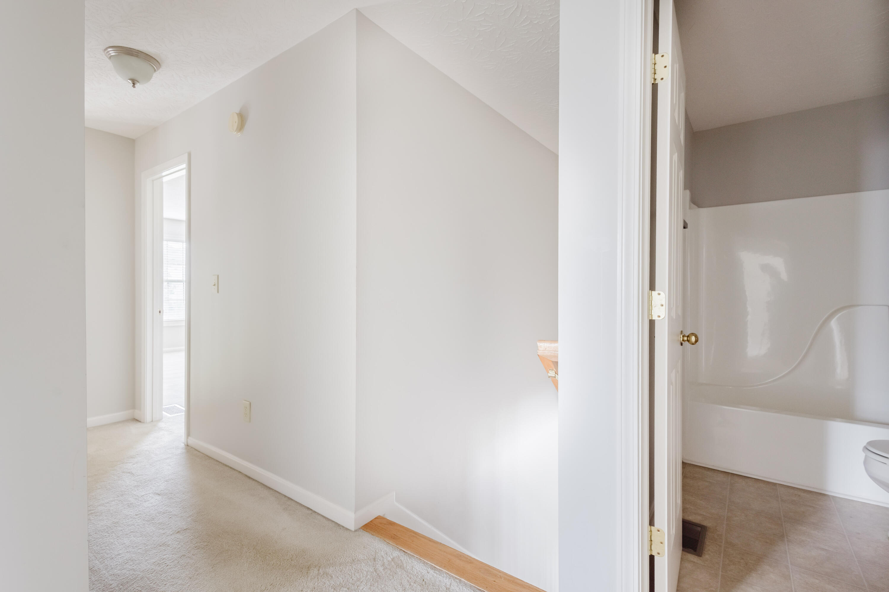 2312 Lilac Park Property Photo 19