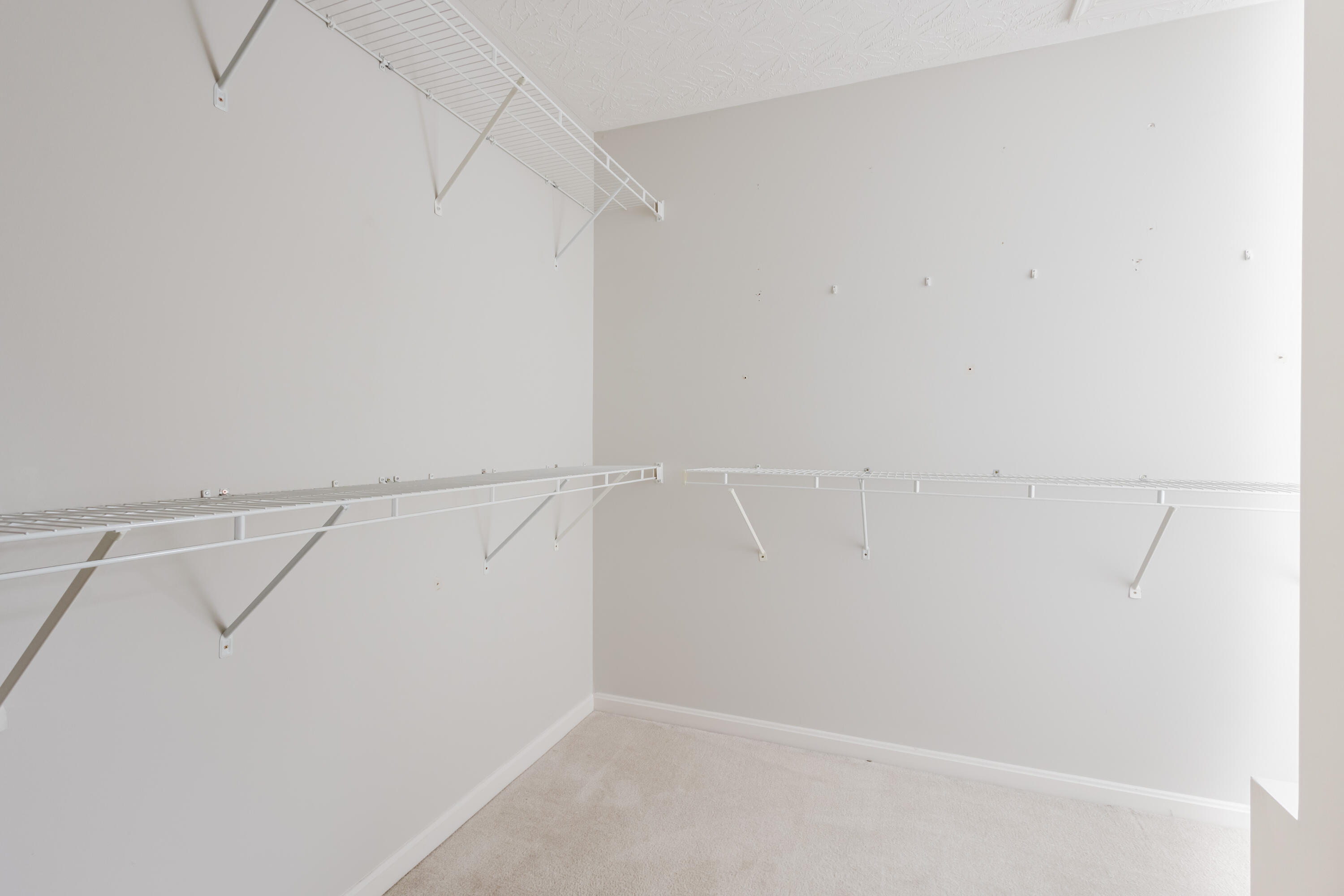 2312 Lilac Park Property Photo 35