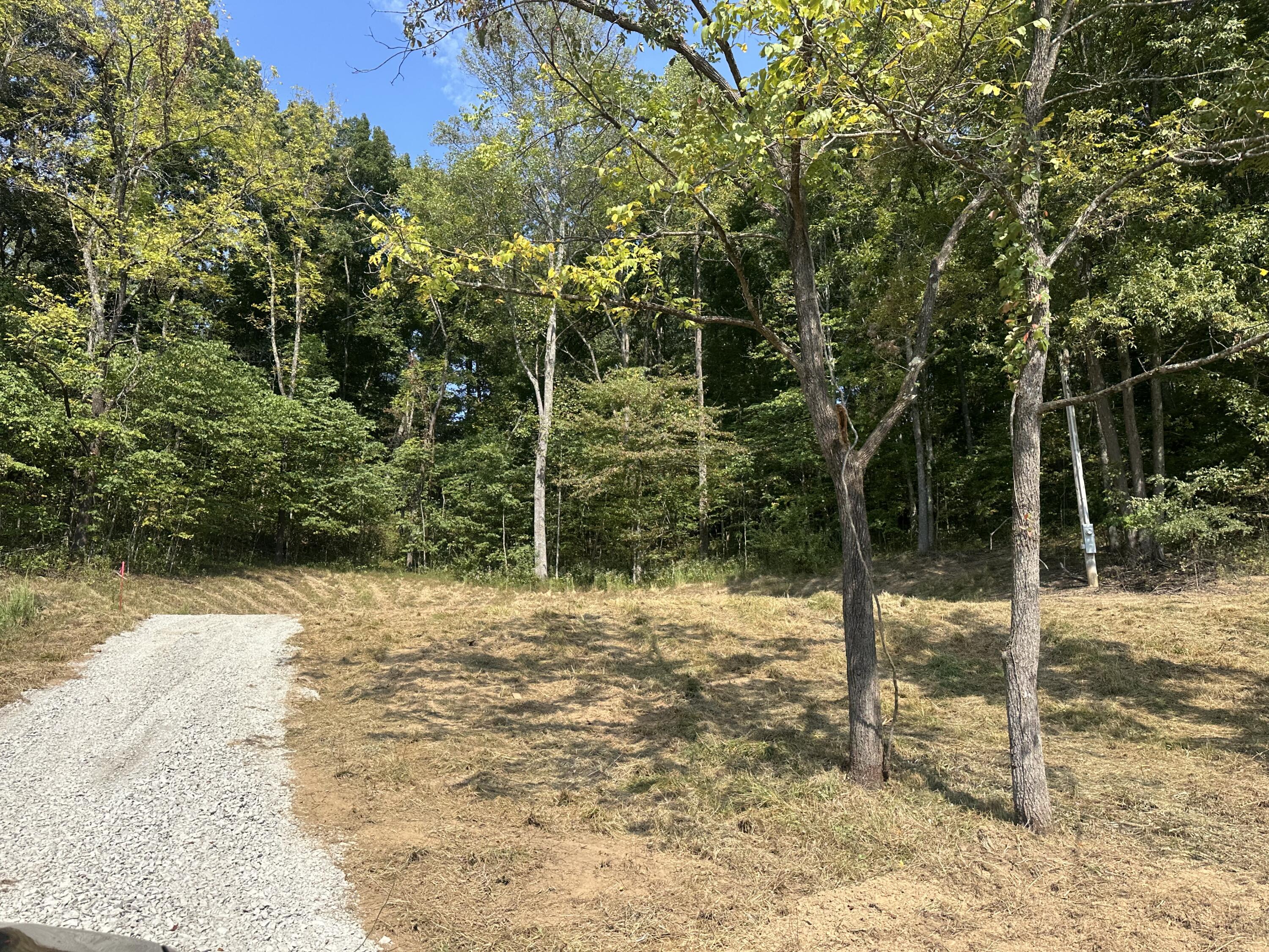 Lot 65 Bluestone Drive Property Photo 1