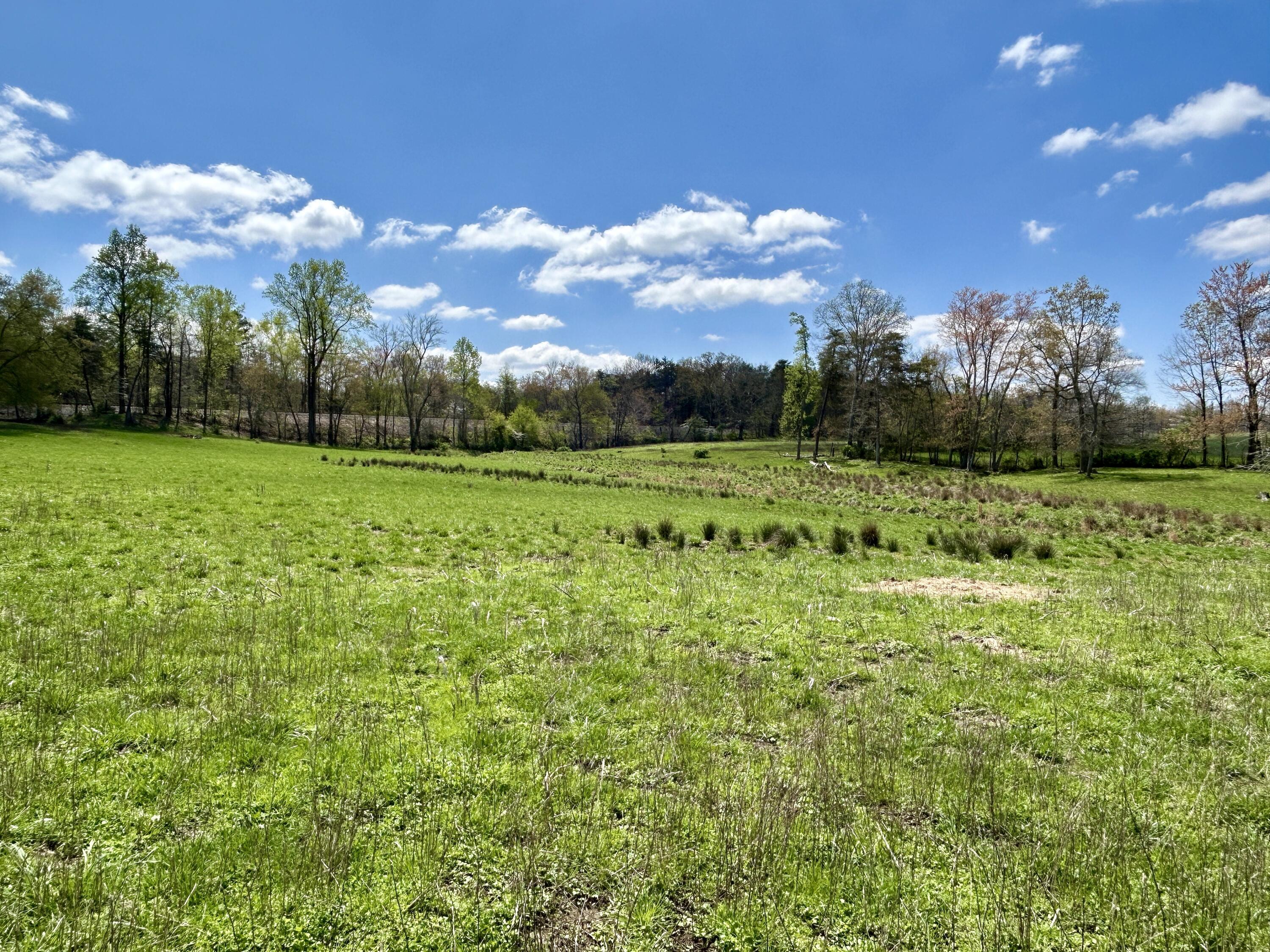 428 Dick Wilson Road Property Photo 2