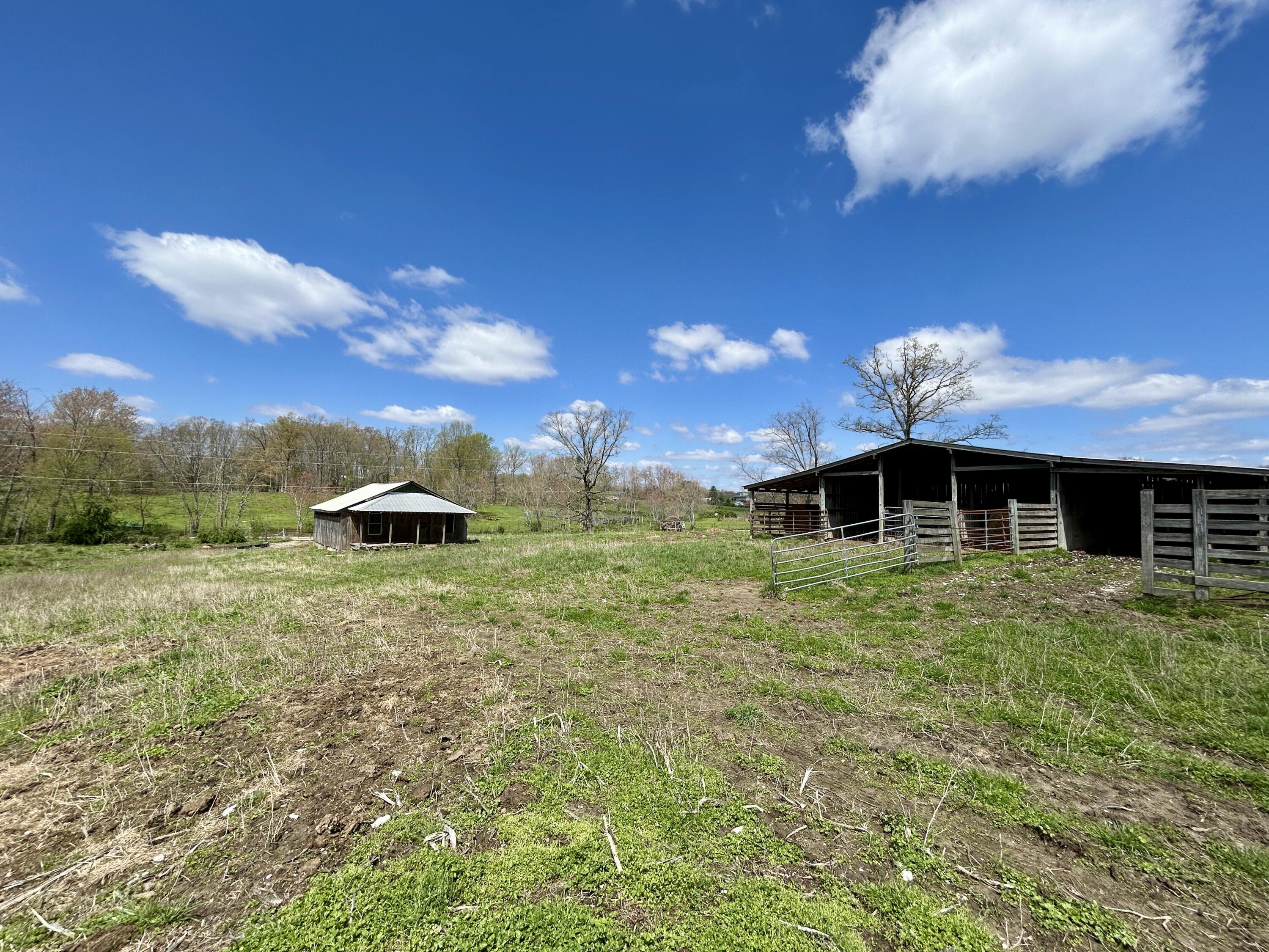 428 Dick Wilson Road Property Photo 4