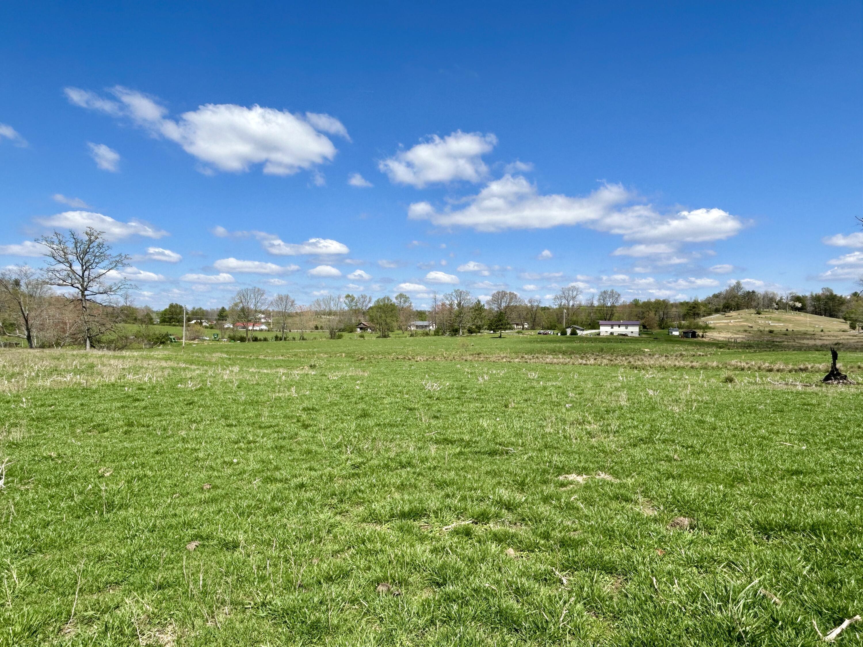 428 Dick Wilson Road Property Photo 8