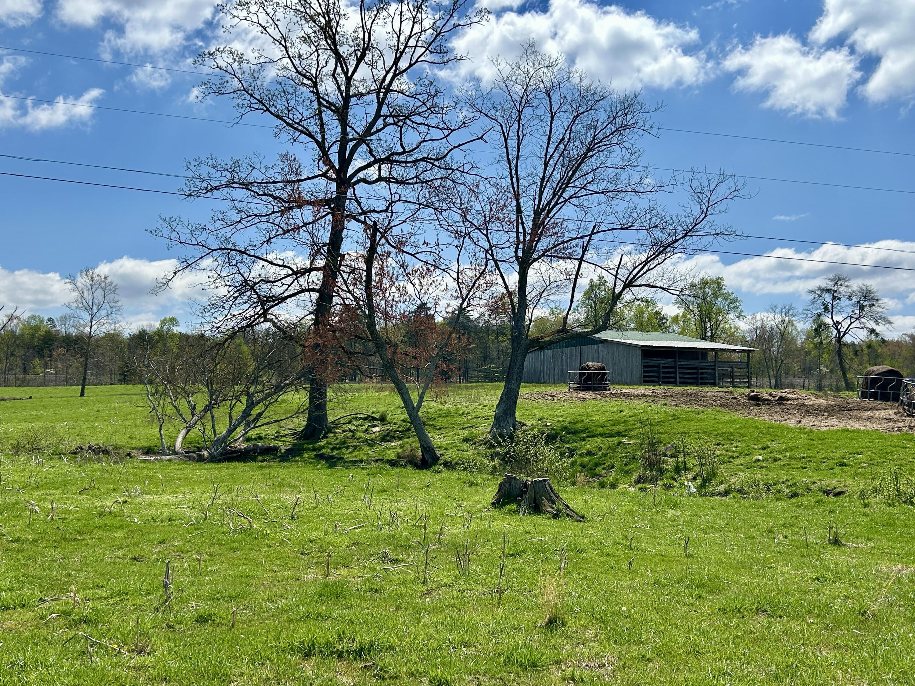 428 Dick Wilson Road Property Photo 10
