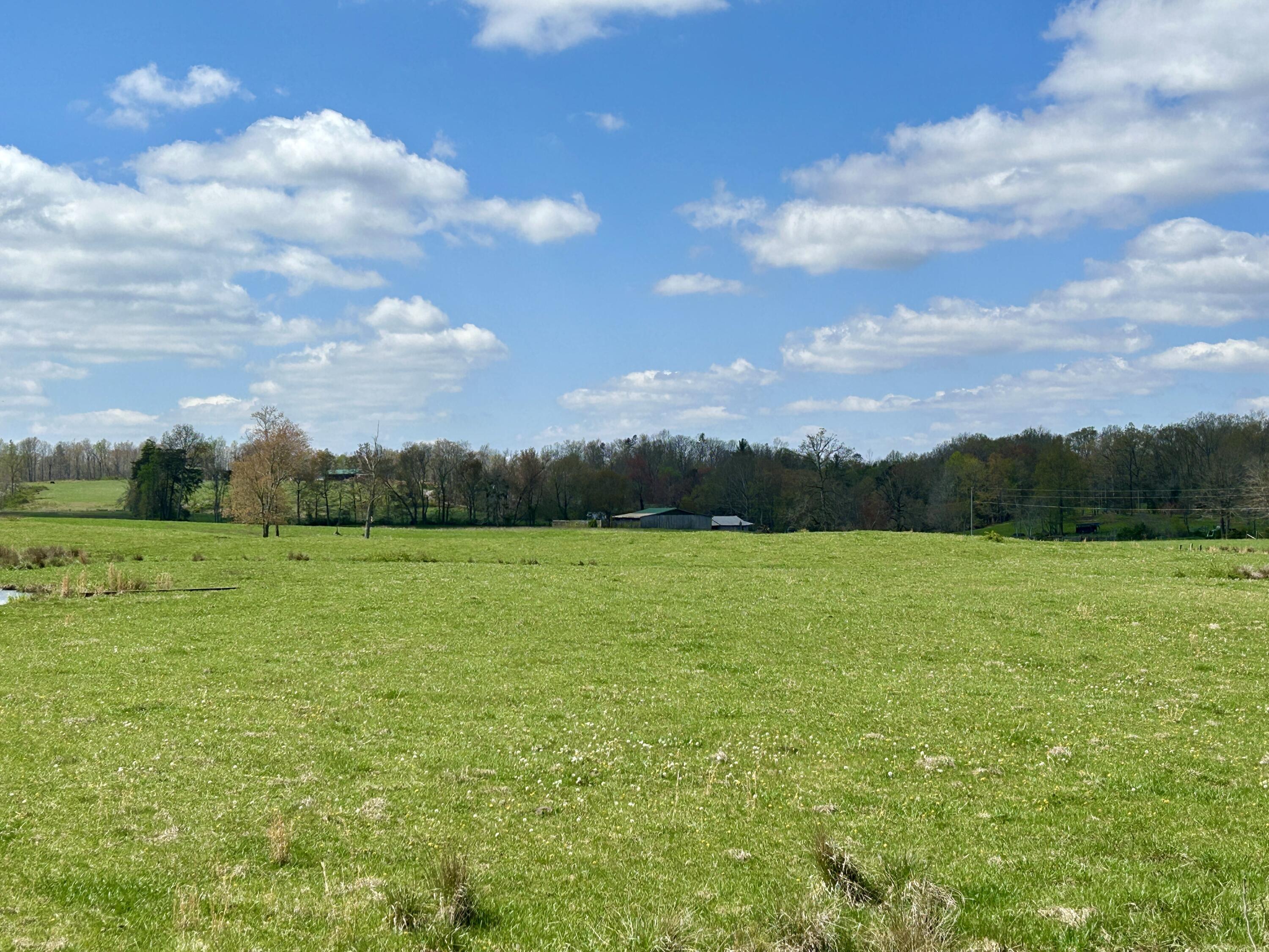 428 Dick Wilson Road Property Photo 13