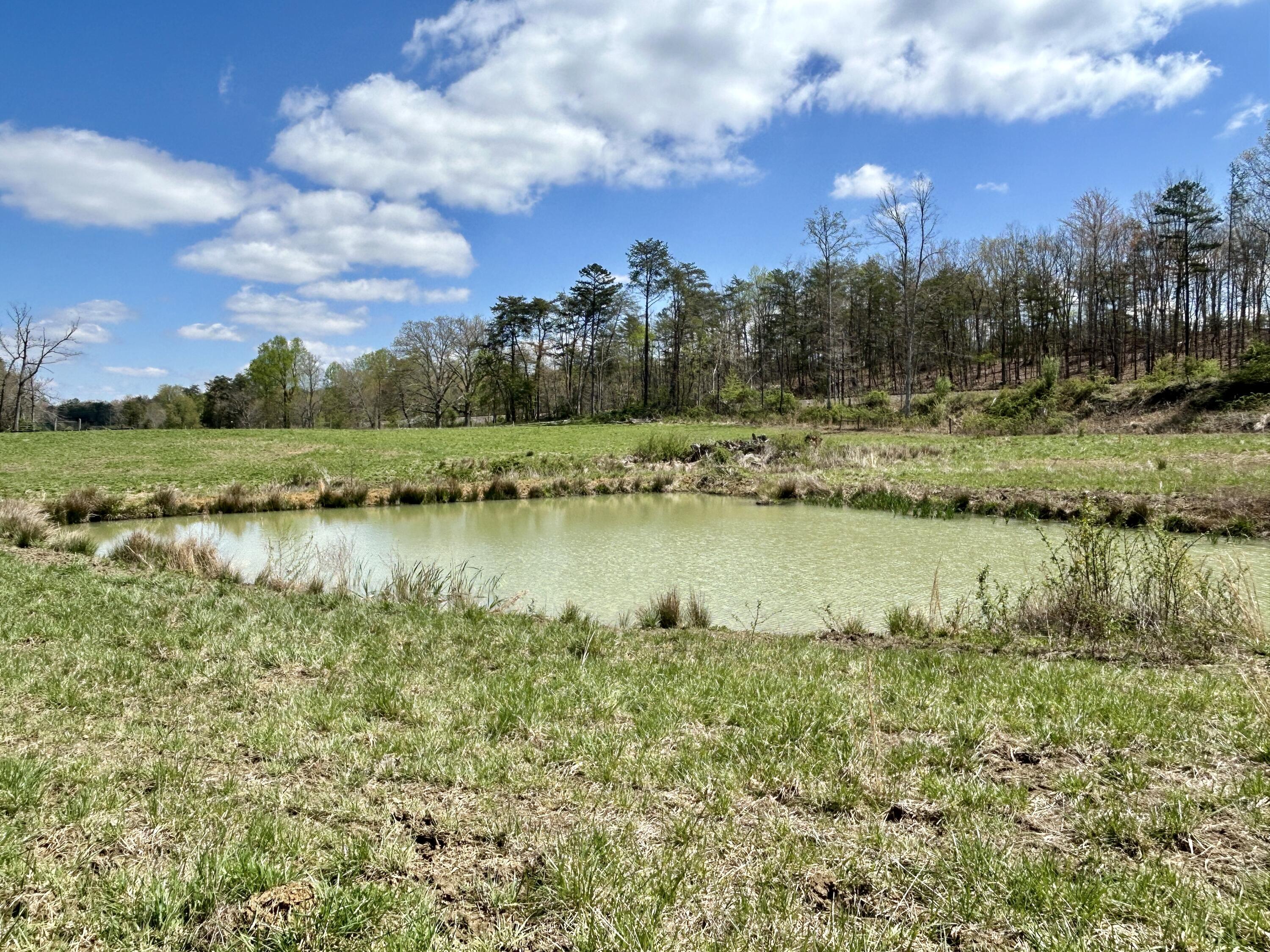 428 Dick Wilson Road Property Photo 14