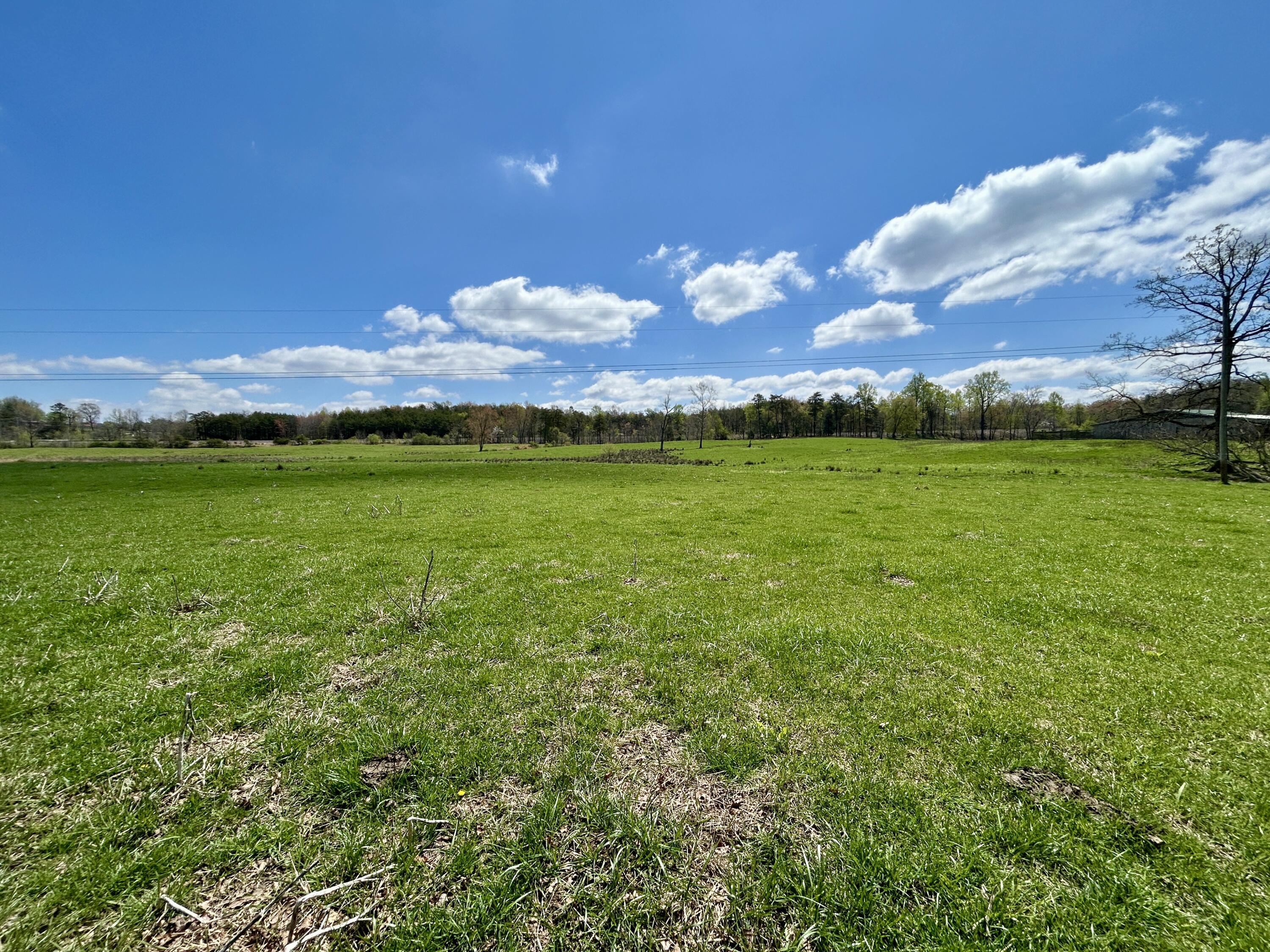 428 Dick Wilson Road Property Photo 15