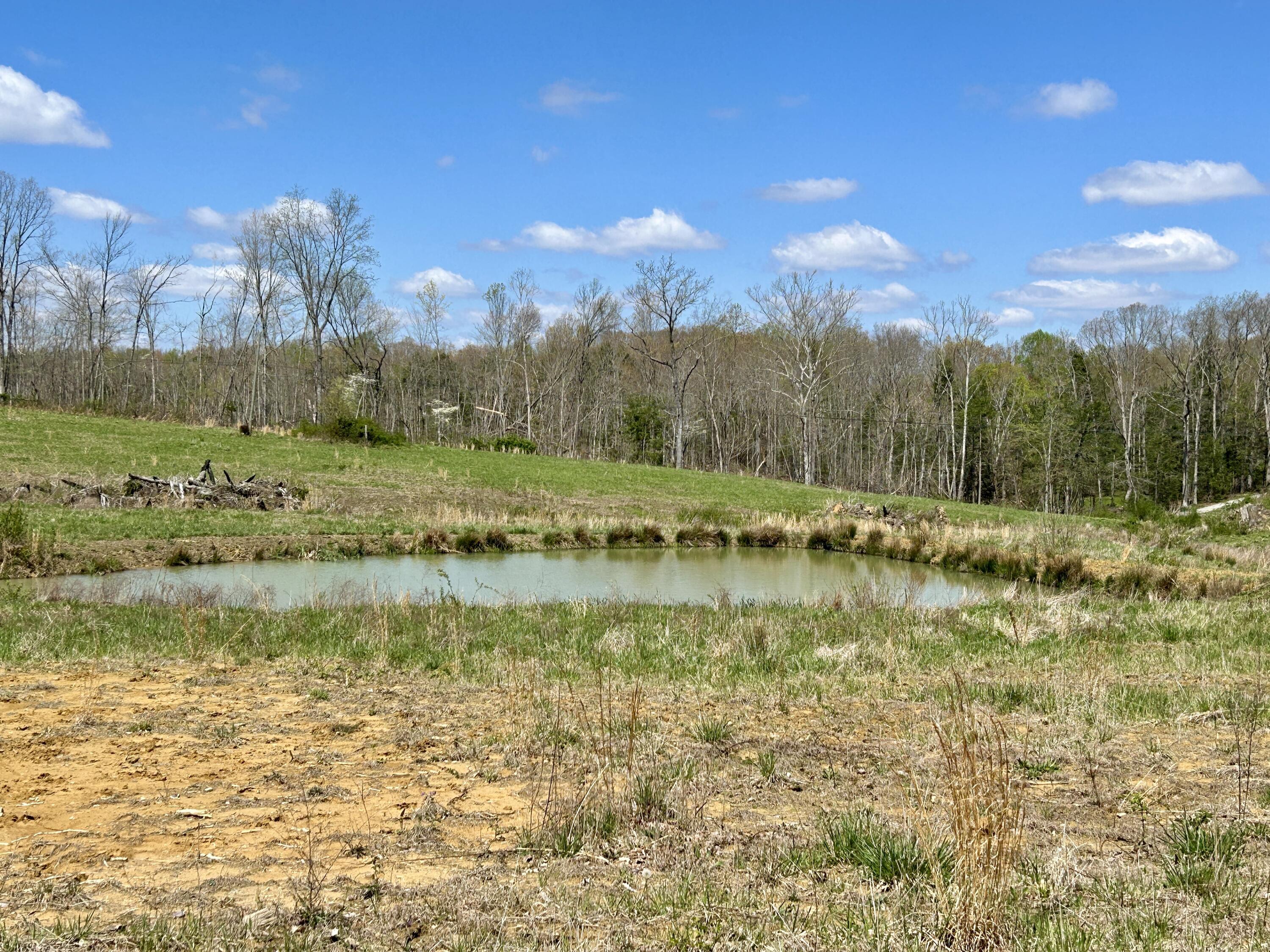 428 Dick Wilson Road Property Photo 17
