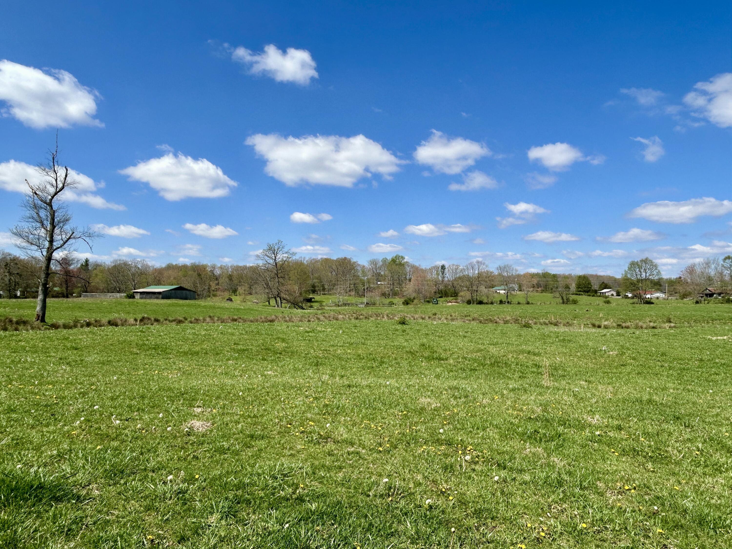 428 Dick Wilson Road Property Photo 18