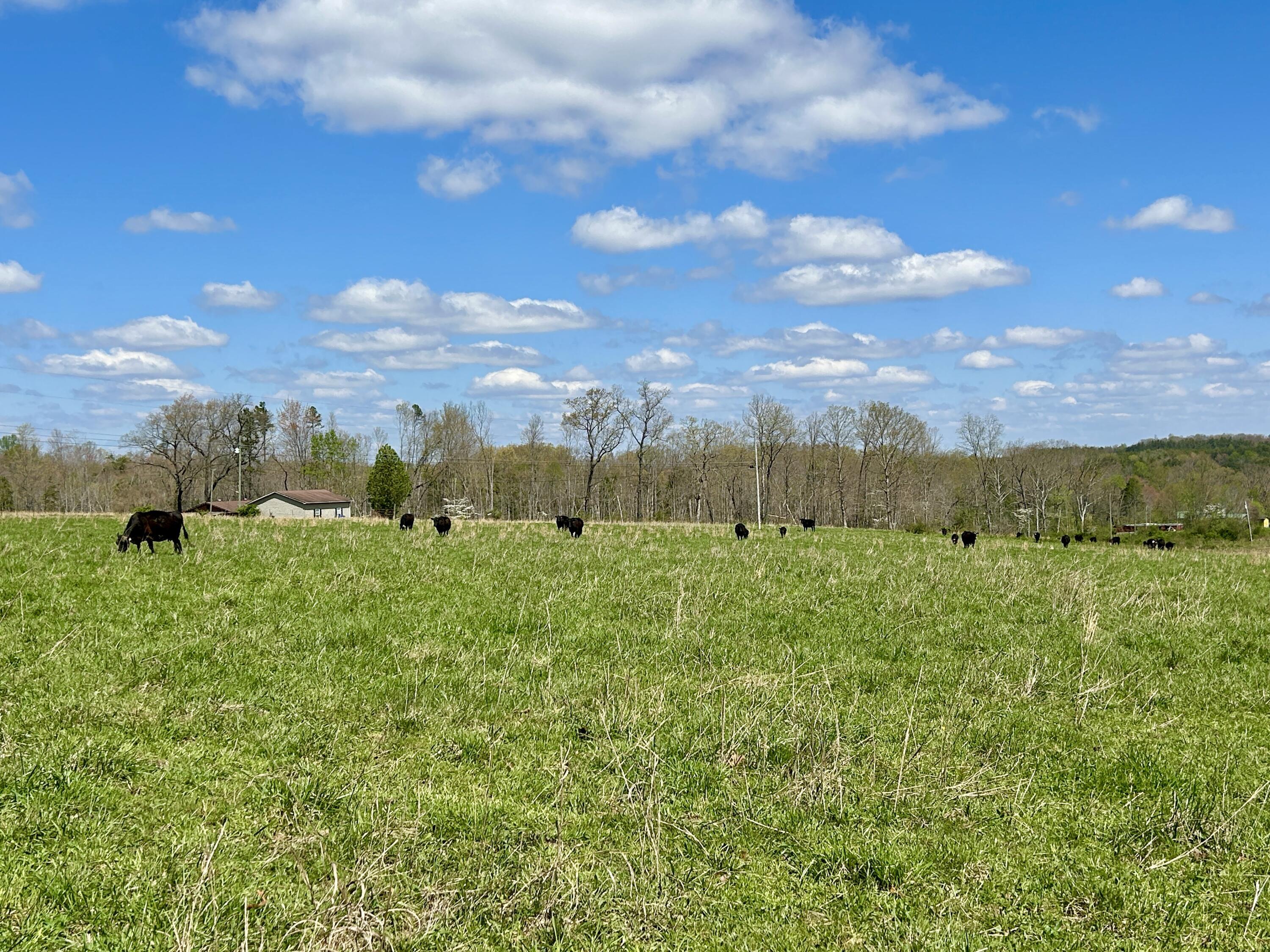 428 Dick Wilson Road Property Photo 19