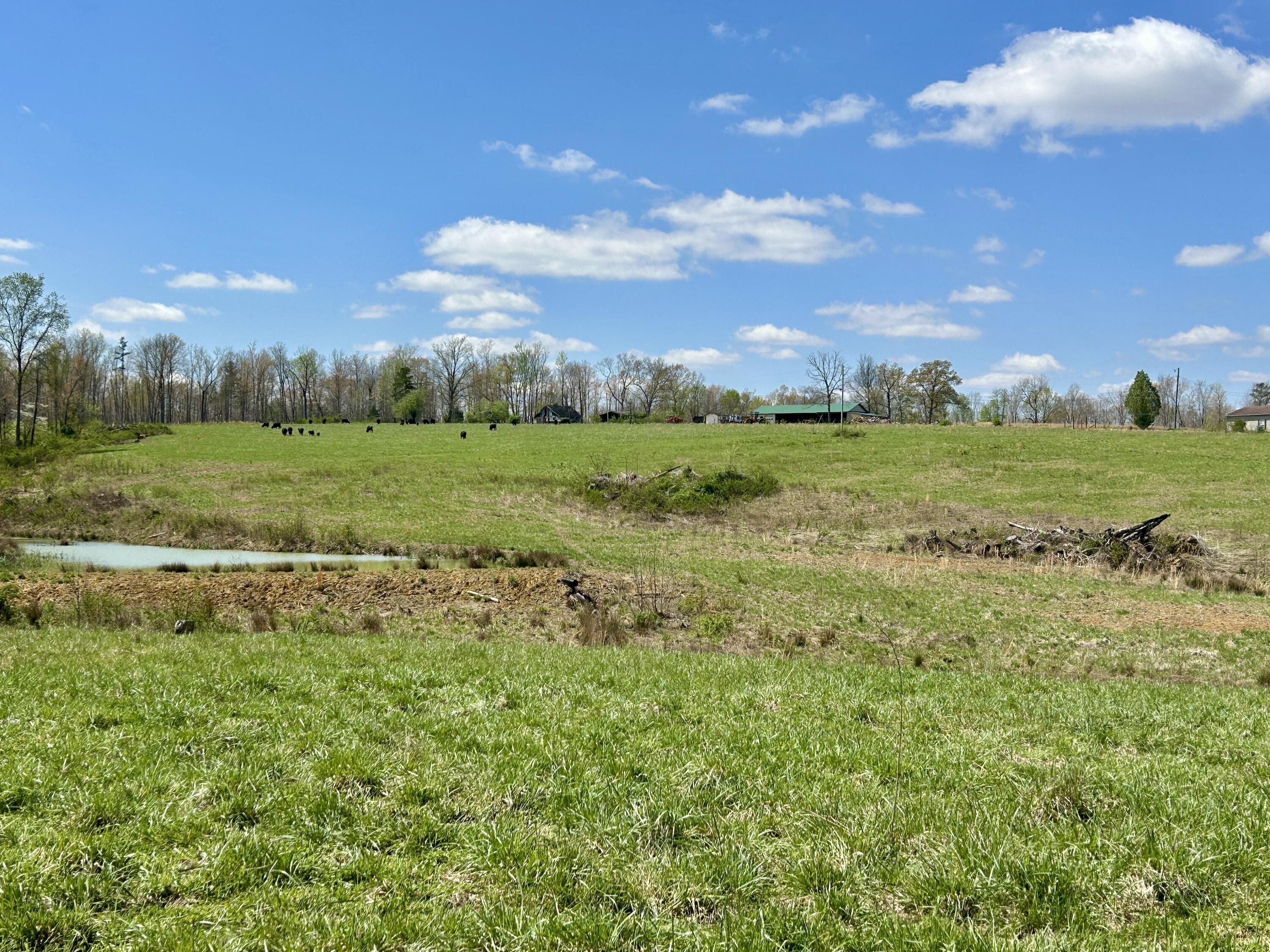 428 Dick Wilson Road Property Photo 20