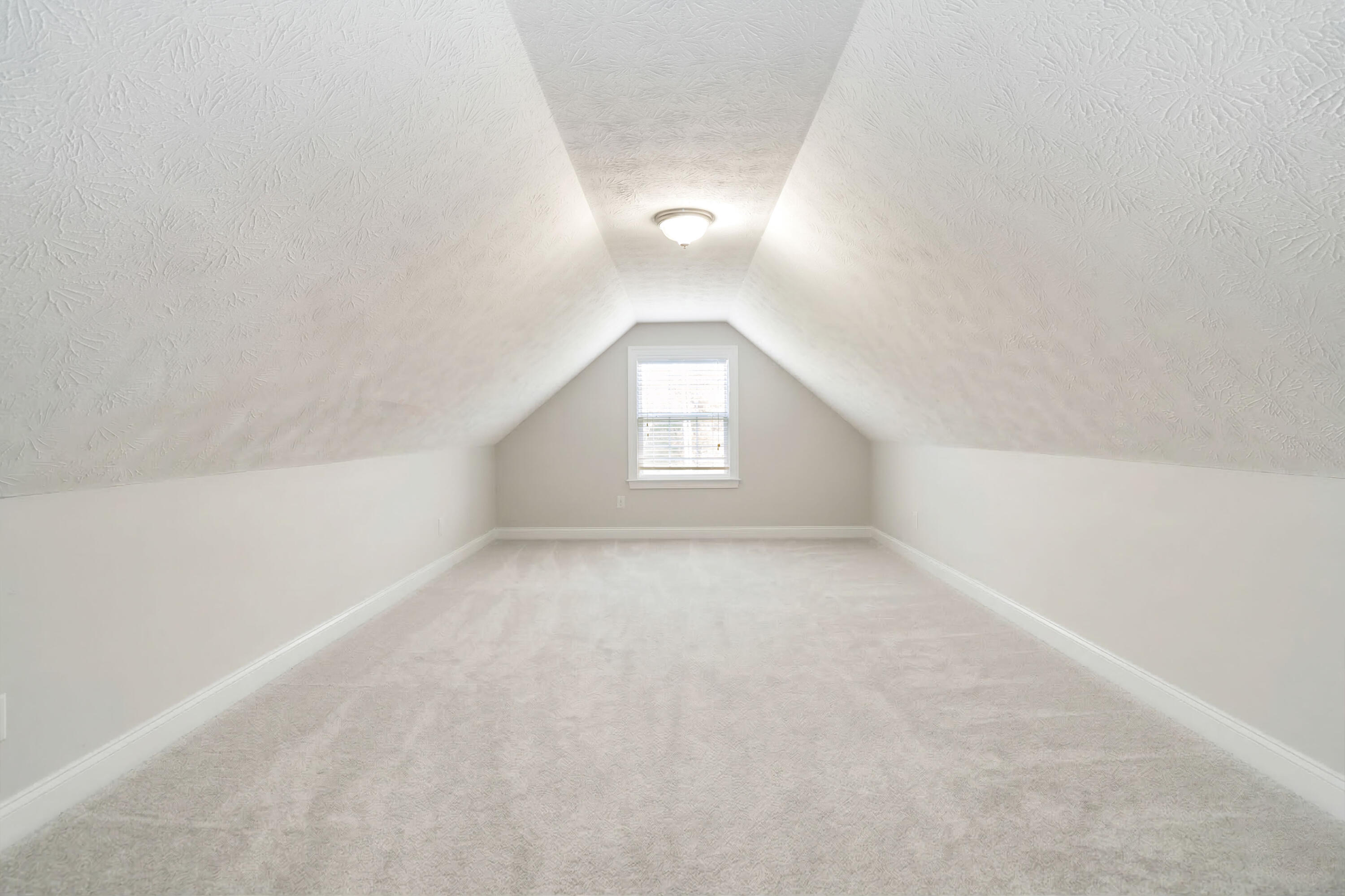 125 George Street Property Photo 20