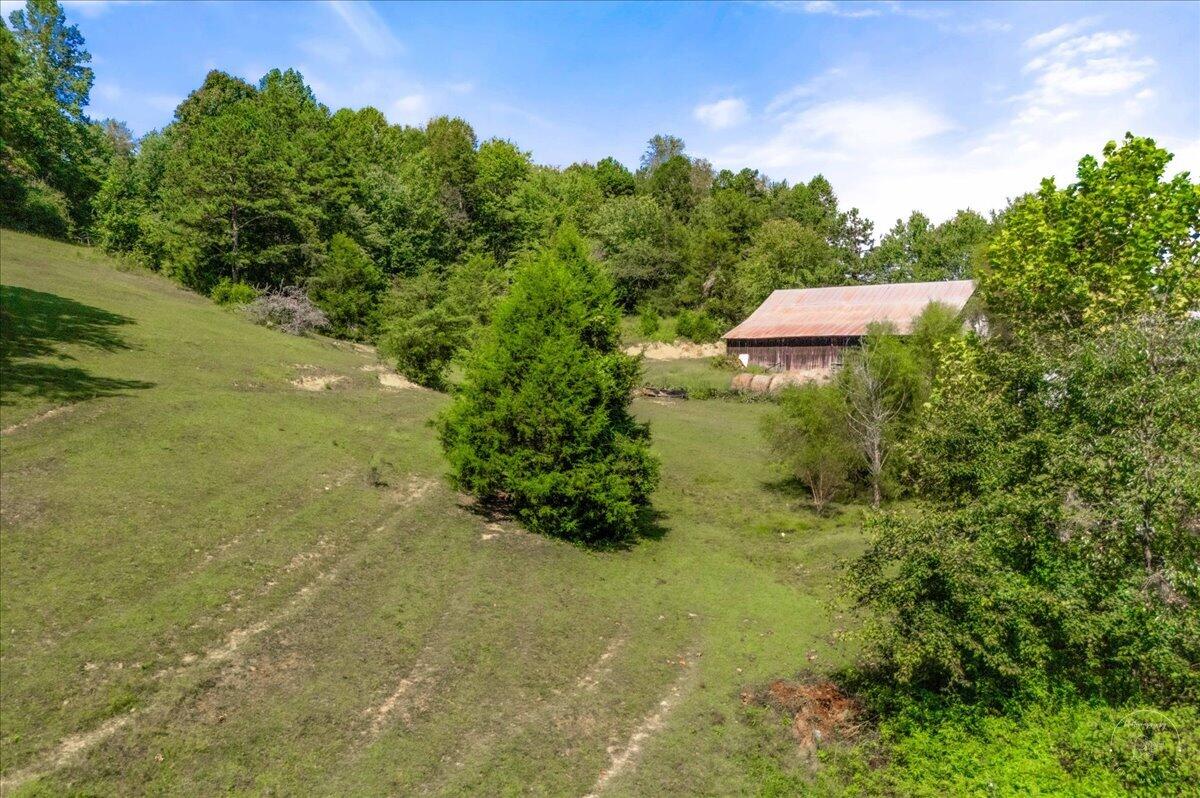 1889 Pond Lick Road Property Photo 7