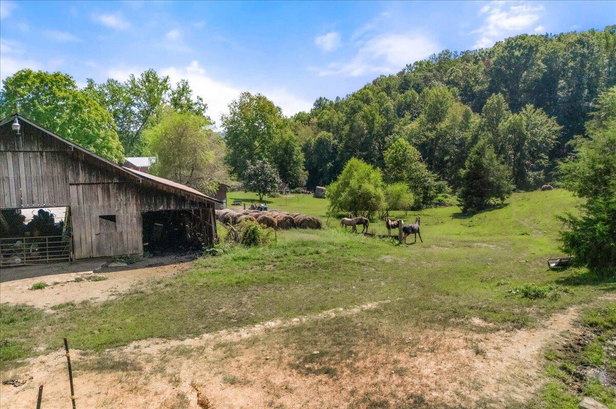 1889 Pond Lick Road Property Photo 9