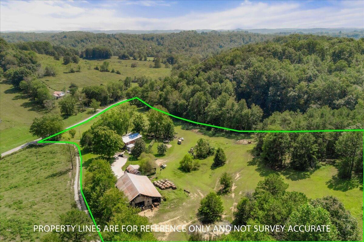 1889 Pond Lick Road Property Photo 11