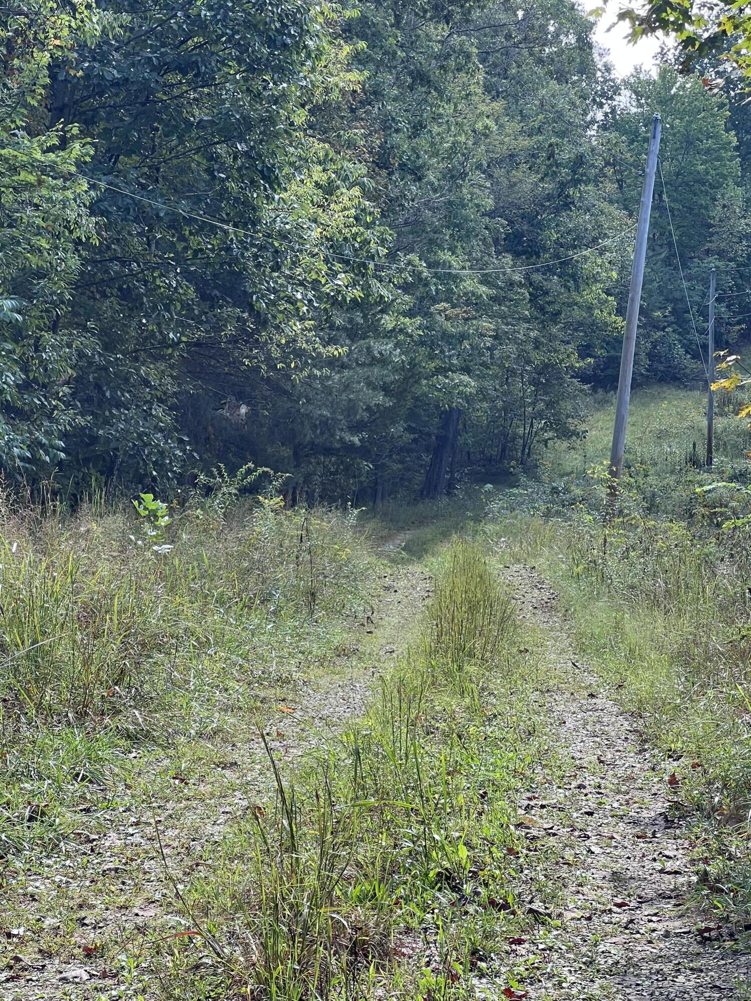 3859 Watson Ridge Road Property Photo 11