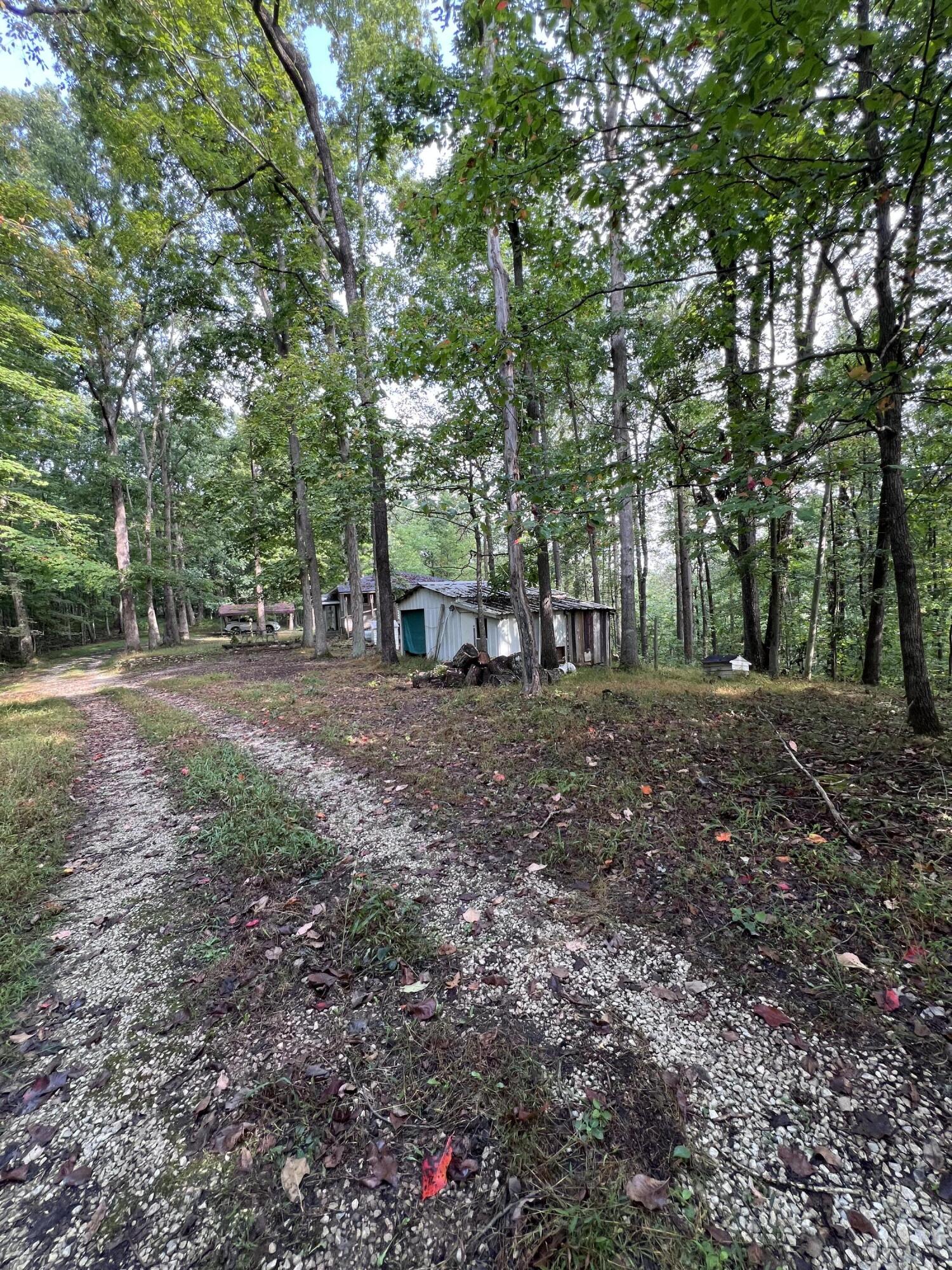 3859 Watson Ridge Road Property Photo 12