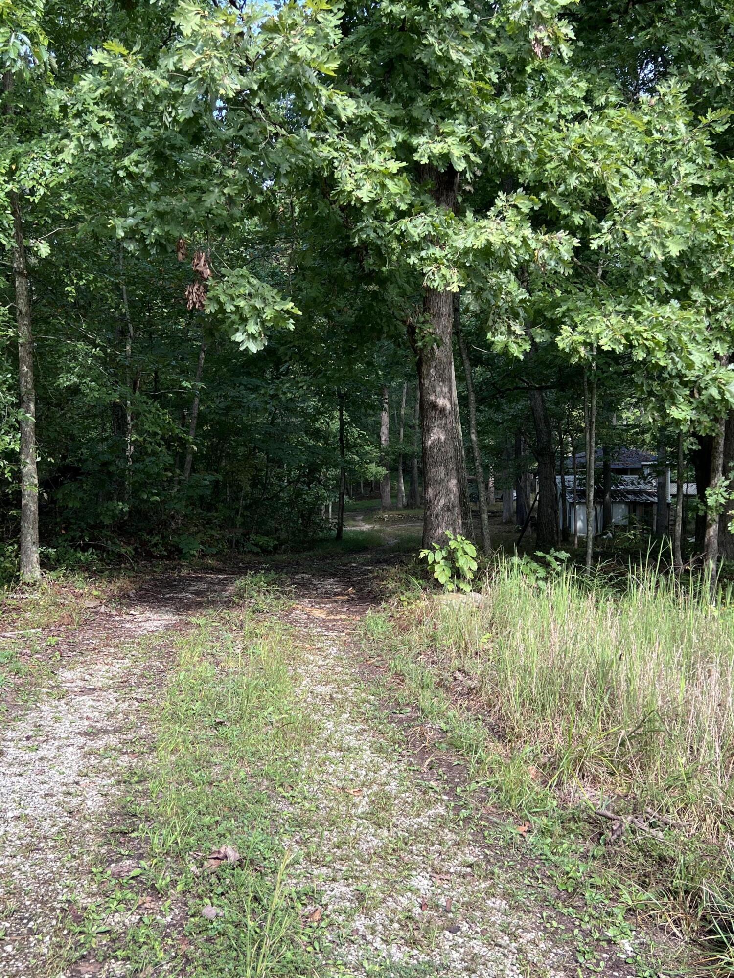 3859 Watson Ridge Road Property Photo 14