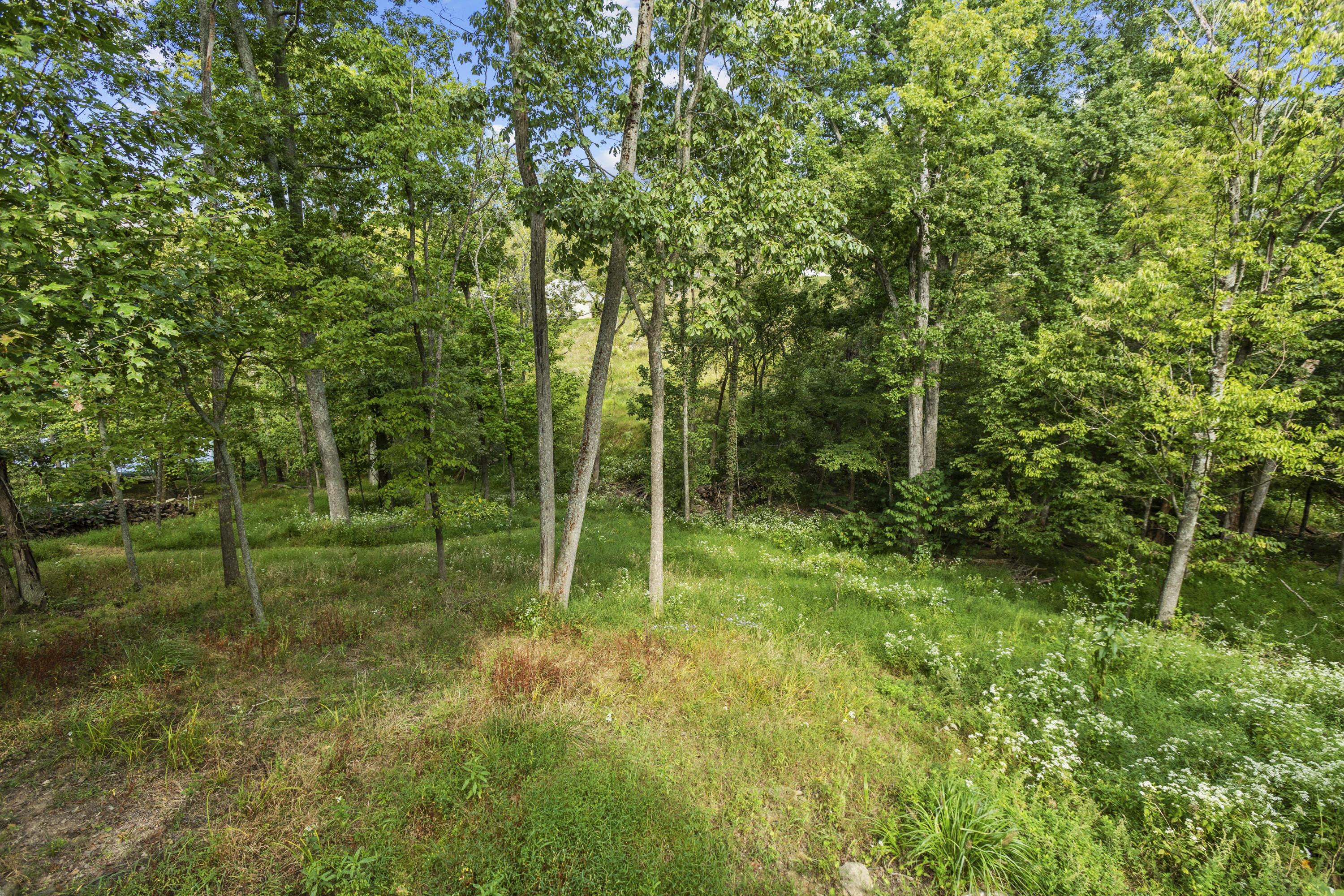 103 Brant Court Property Photo 43