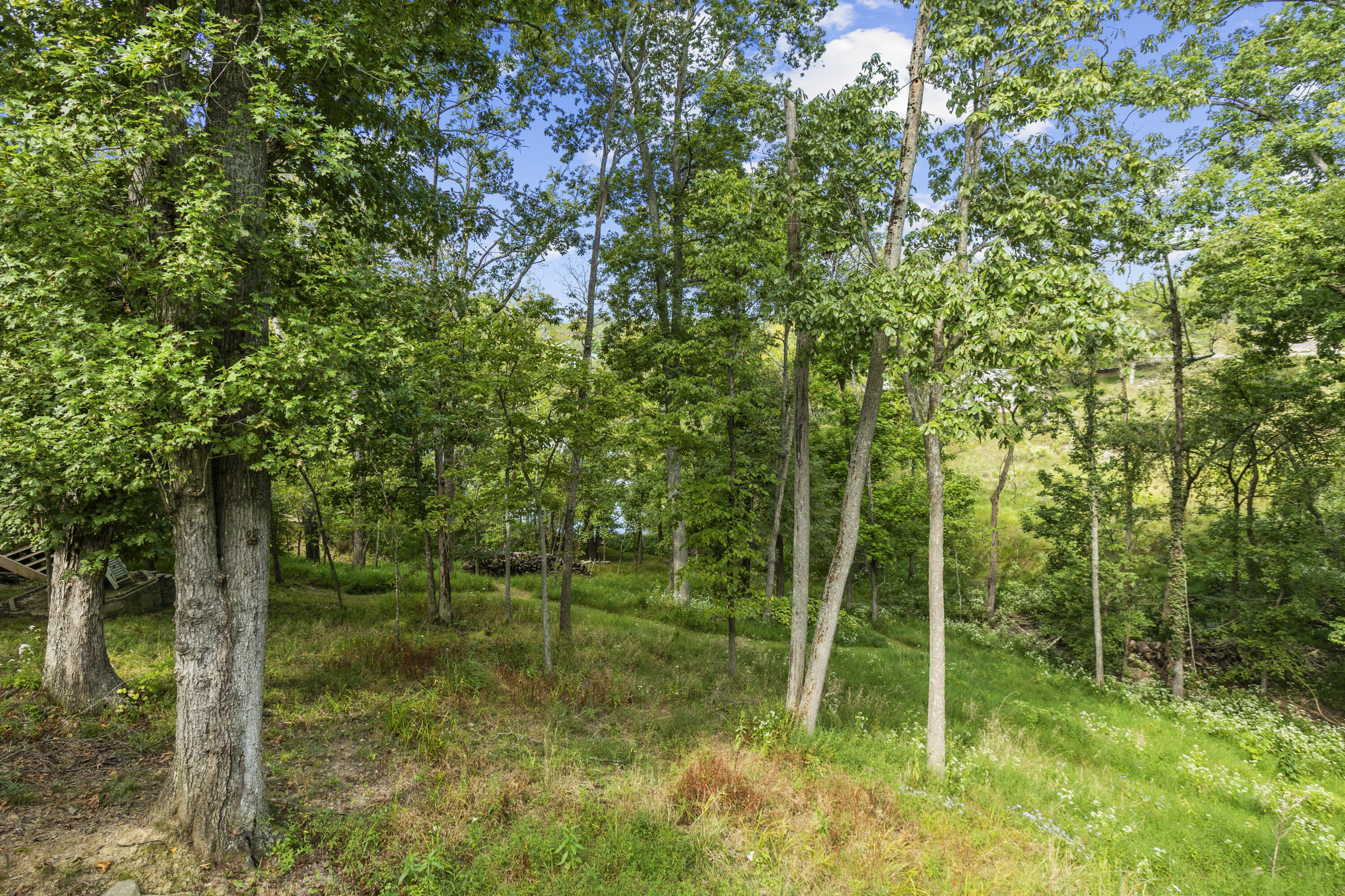 103 Brant Court Property Photo 44