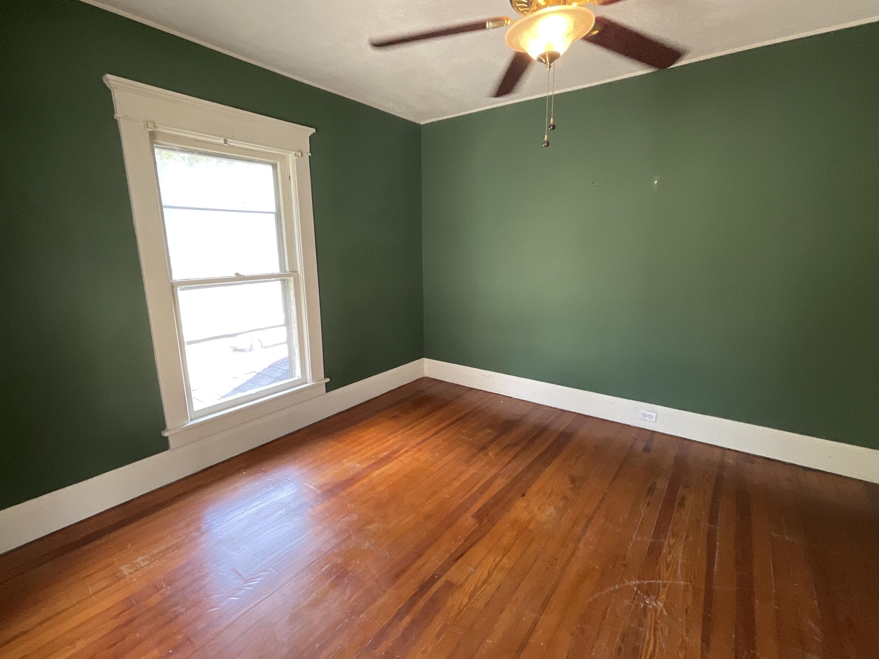 30 Samuels Avenue Property Photo 25