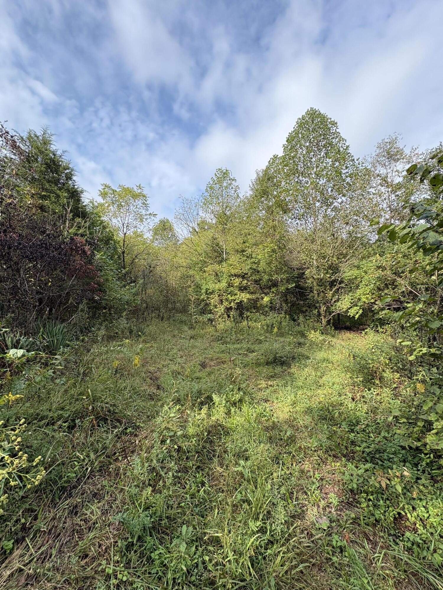 1270 W Lone Oak Road Property Photo 3
